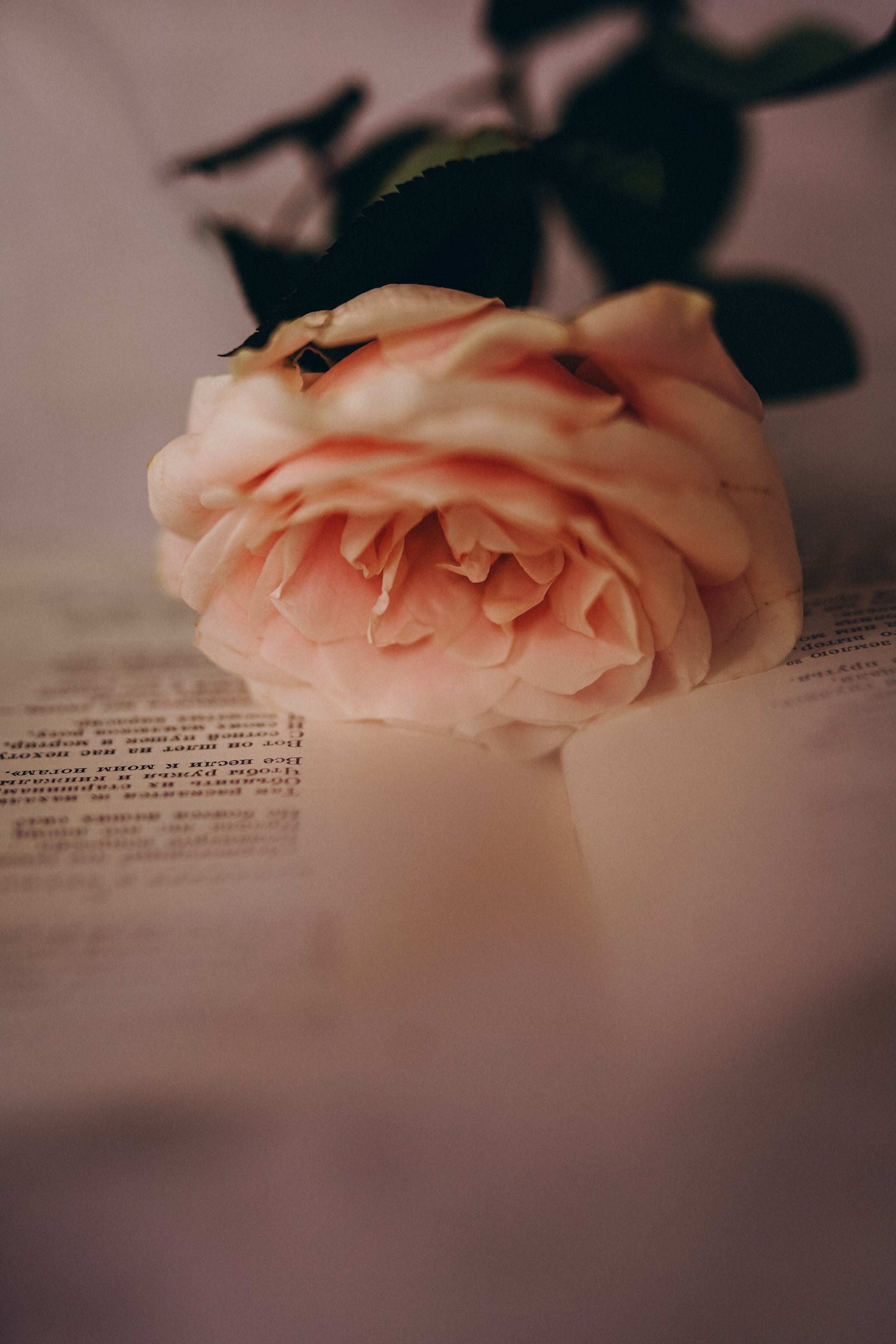 Райский сад. Семейный и женский фотограф в Санкт-Петербурге Татьяна Стружкина