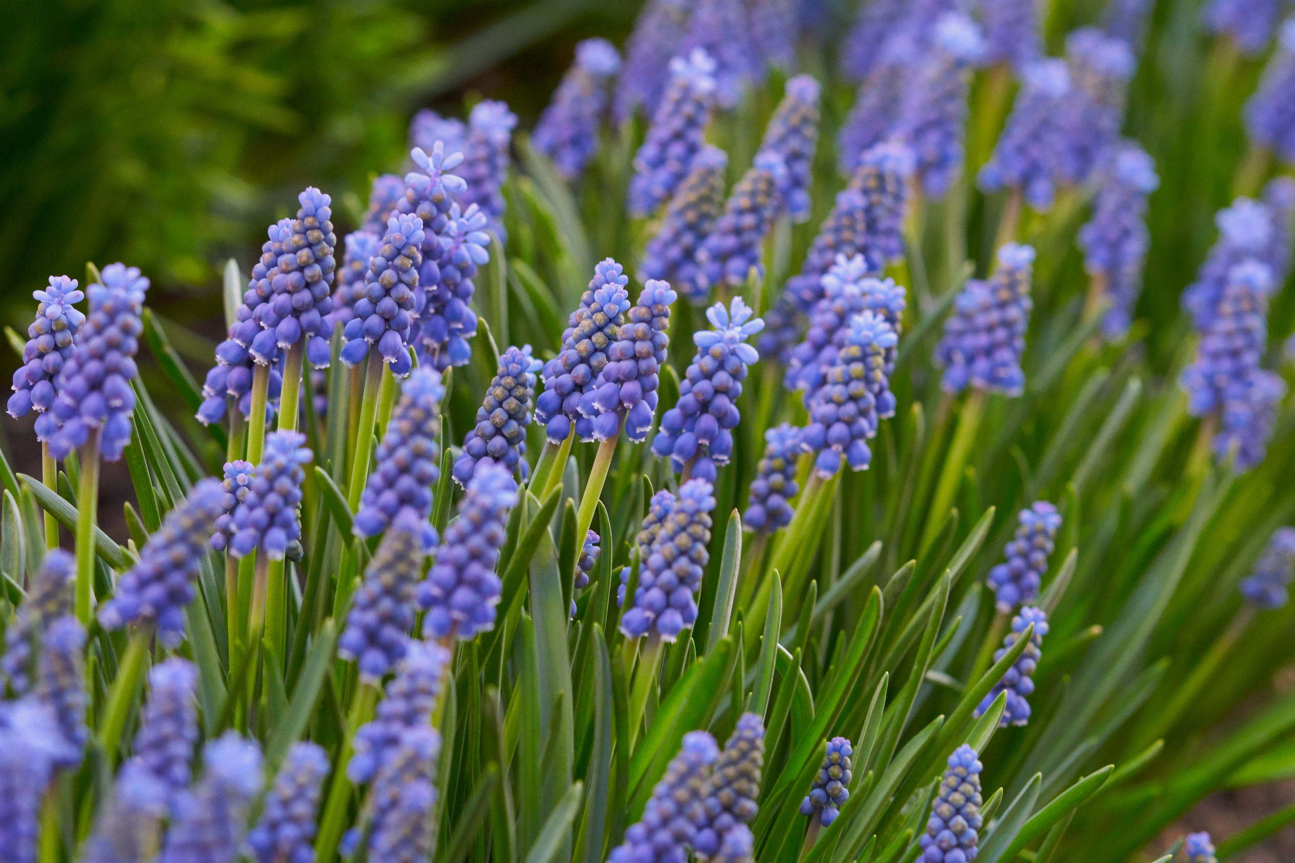 Наша мать — природа. Фотограф Владимир Артамонов