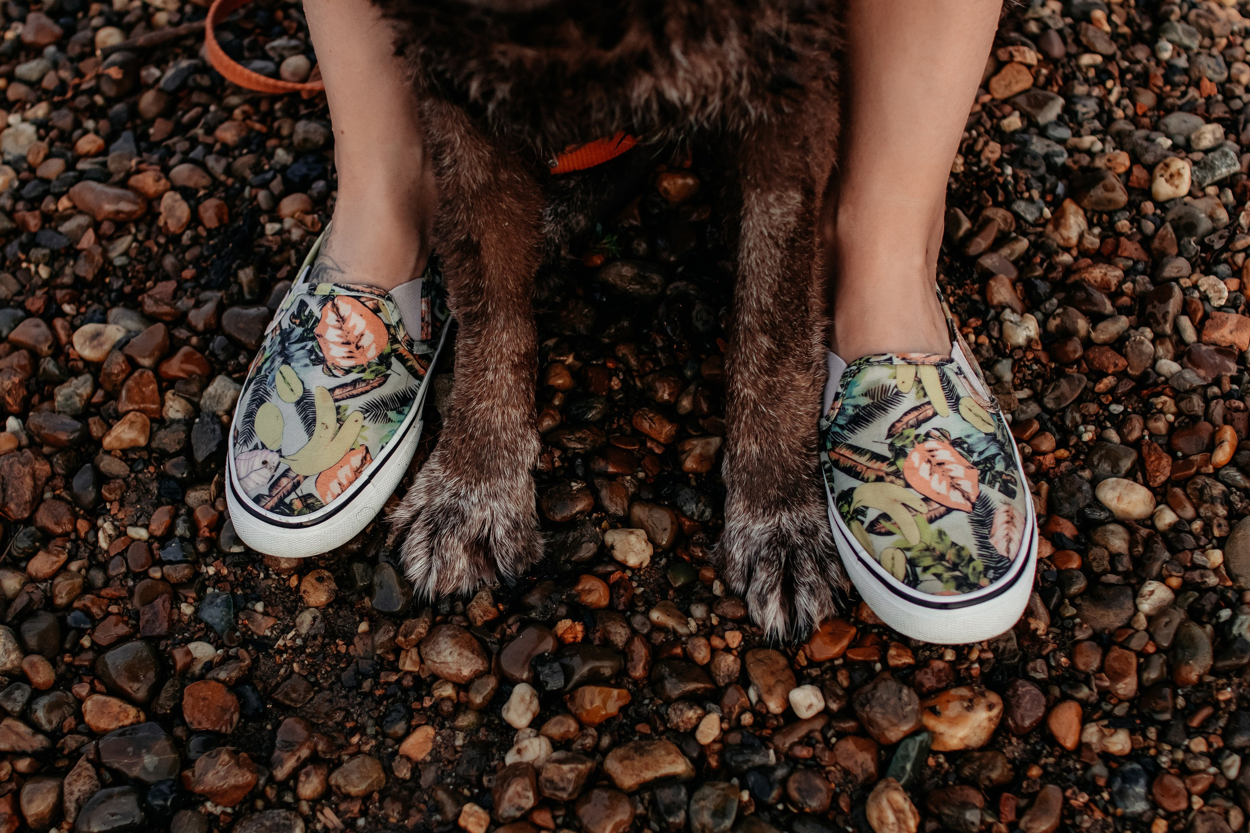 Юля и Свити. Фотограф Наталья Потапова