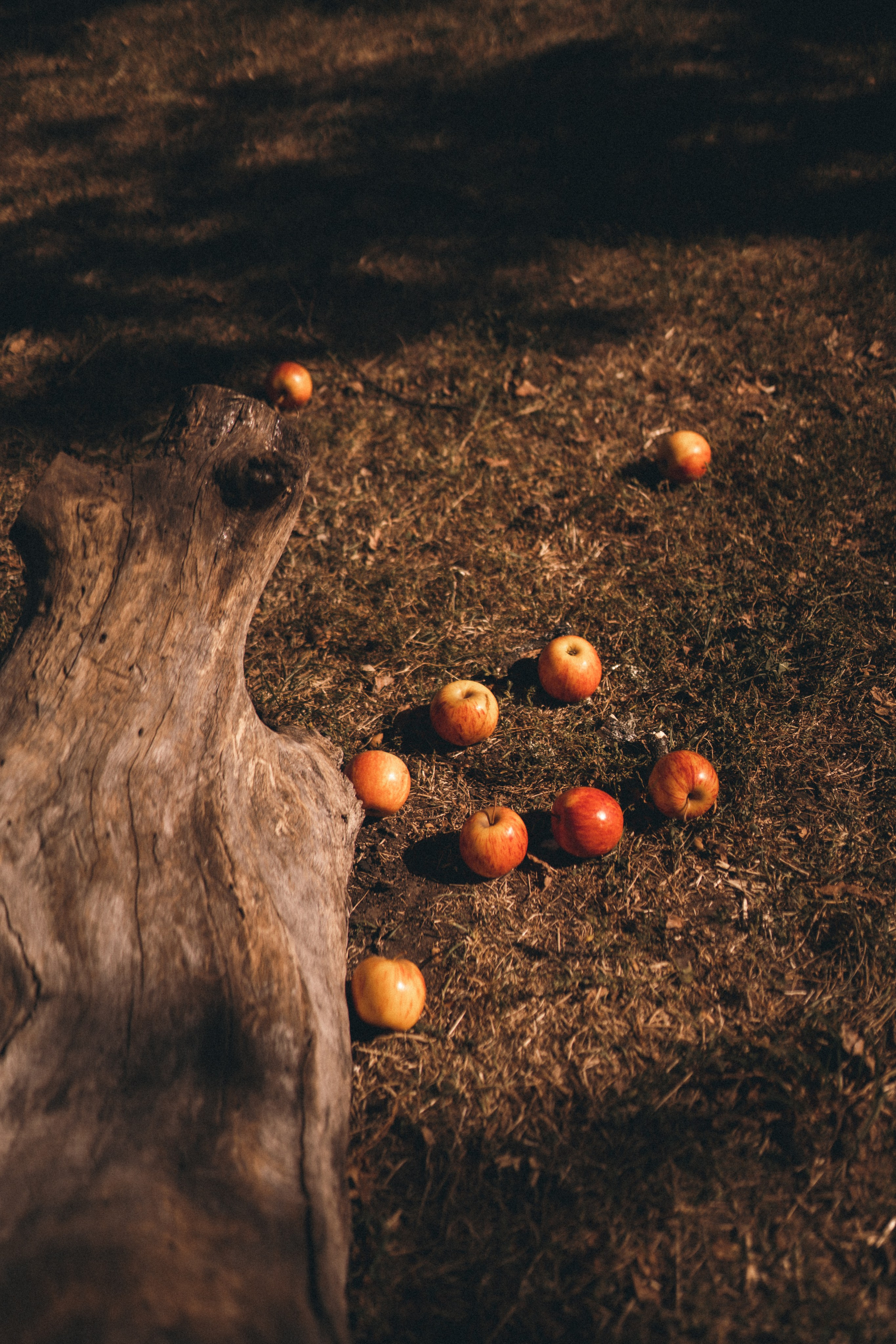 Ветер в волосах. Творческий фотограф Аня Волк