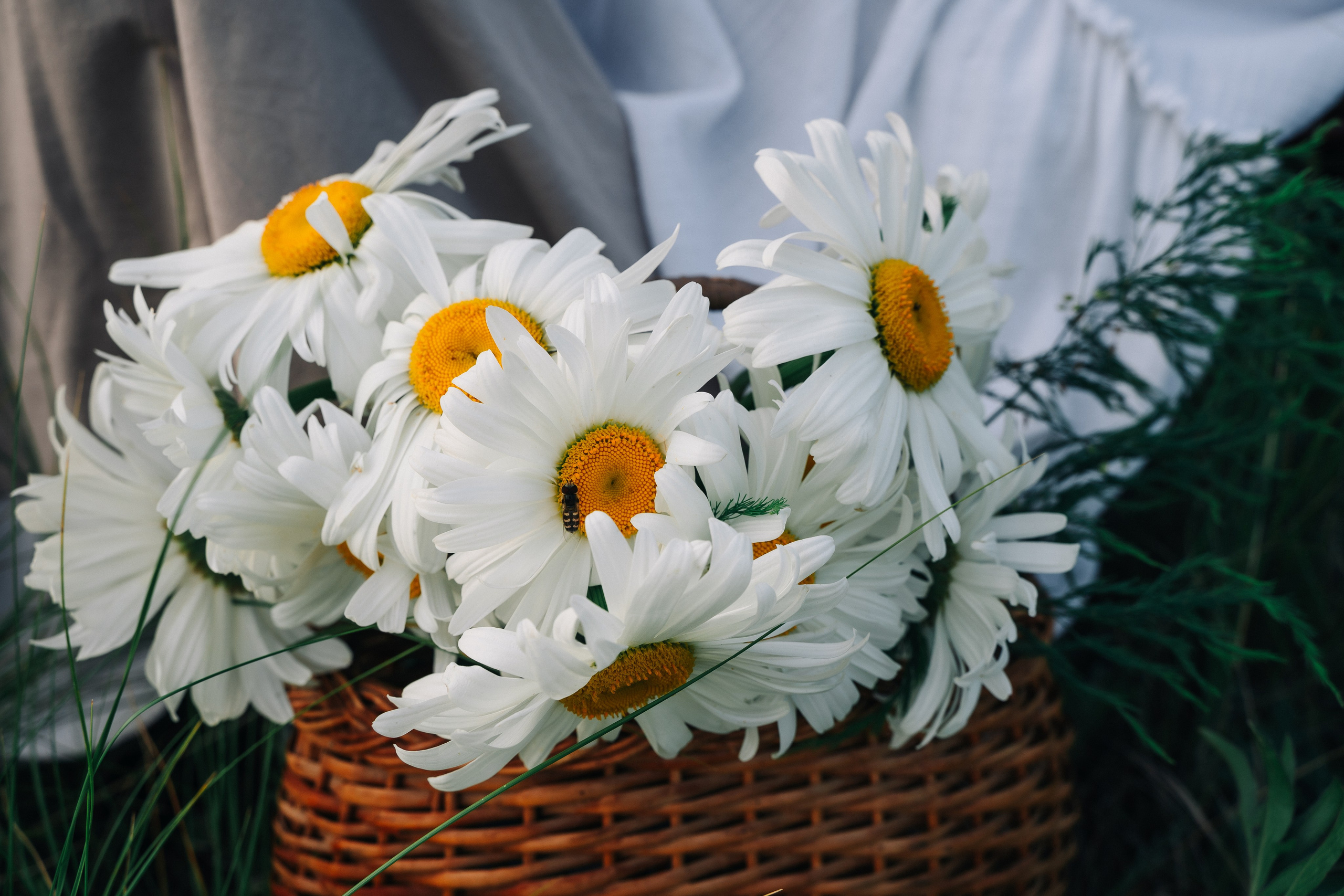 Летний пикник. Семейный и свадебный фотограф в Бугуруслане Екатерина Ронжина