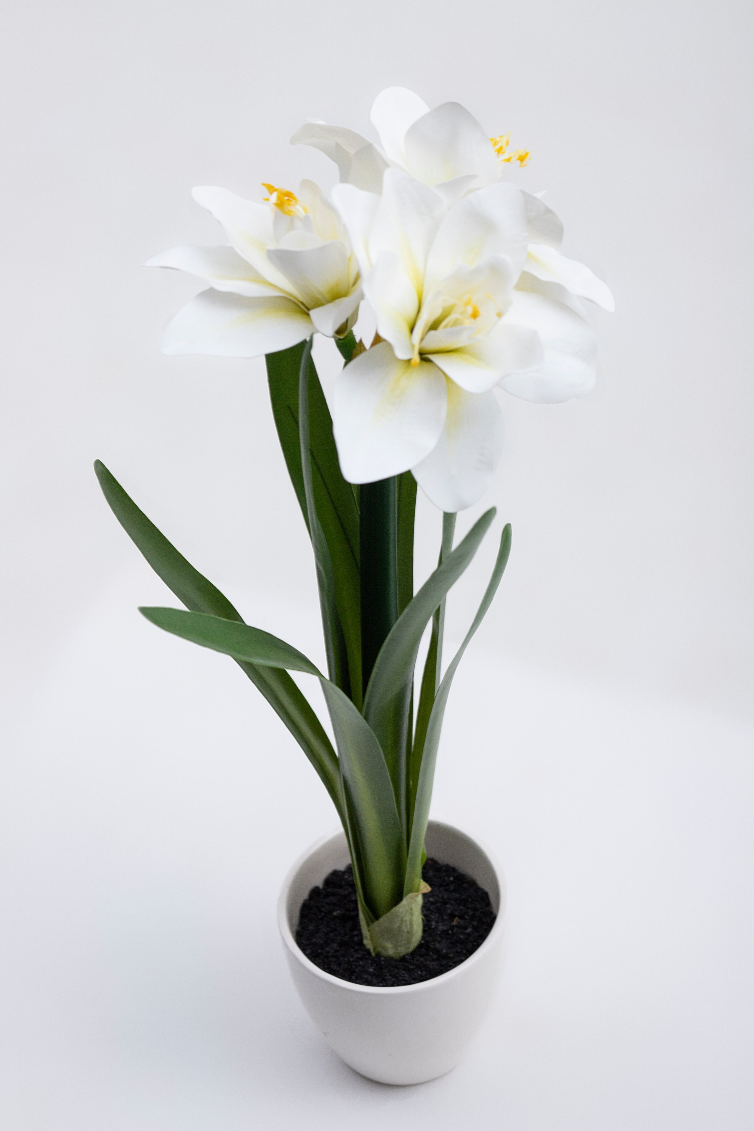 Маркетплейс. Фотограф Пушкино и Москва Анастасия Коган