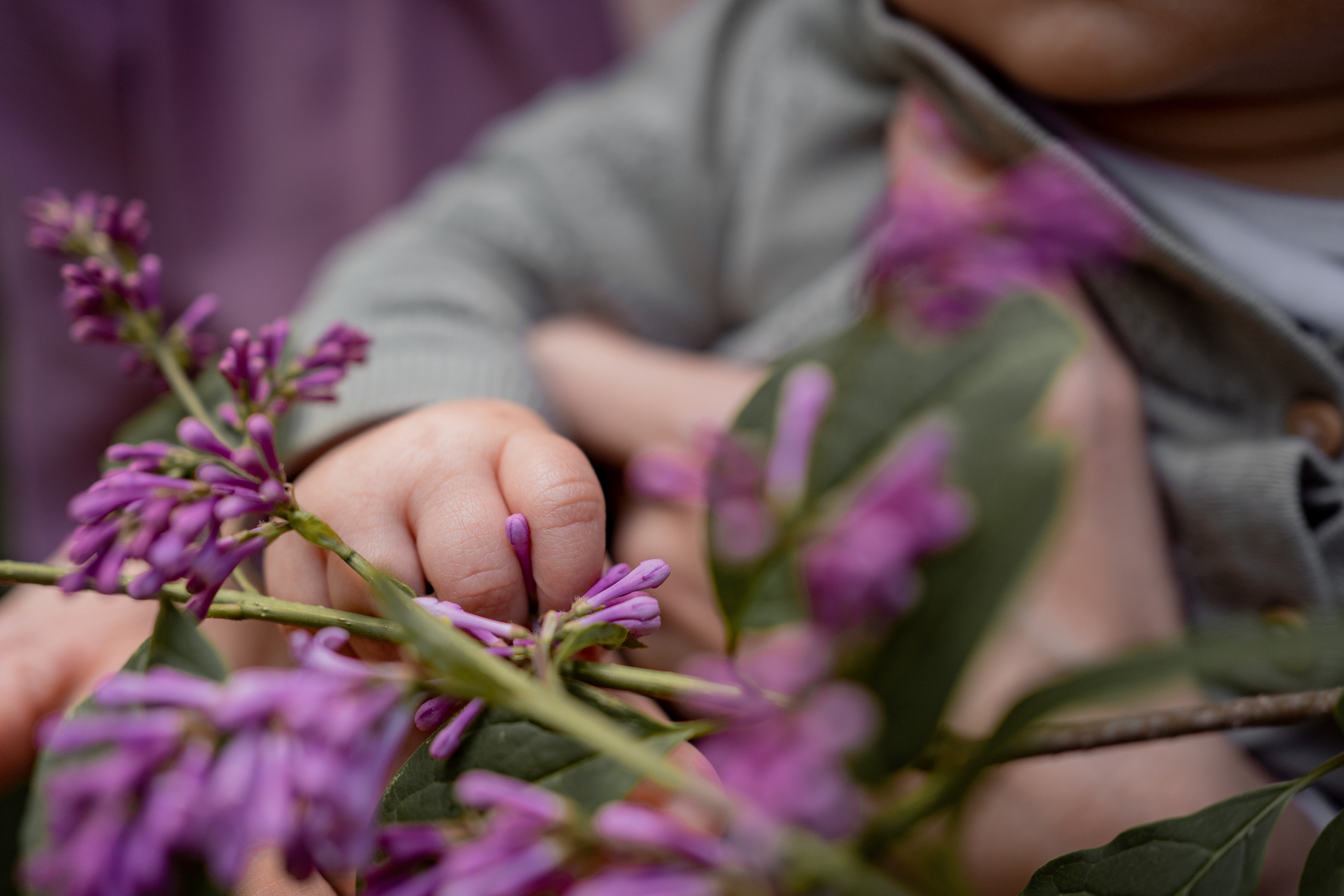 Женя и Лера в сирени. Фотограф грудного вскармливания в Москве Екатерина
