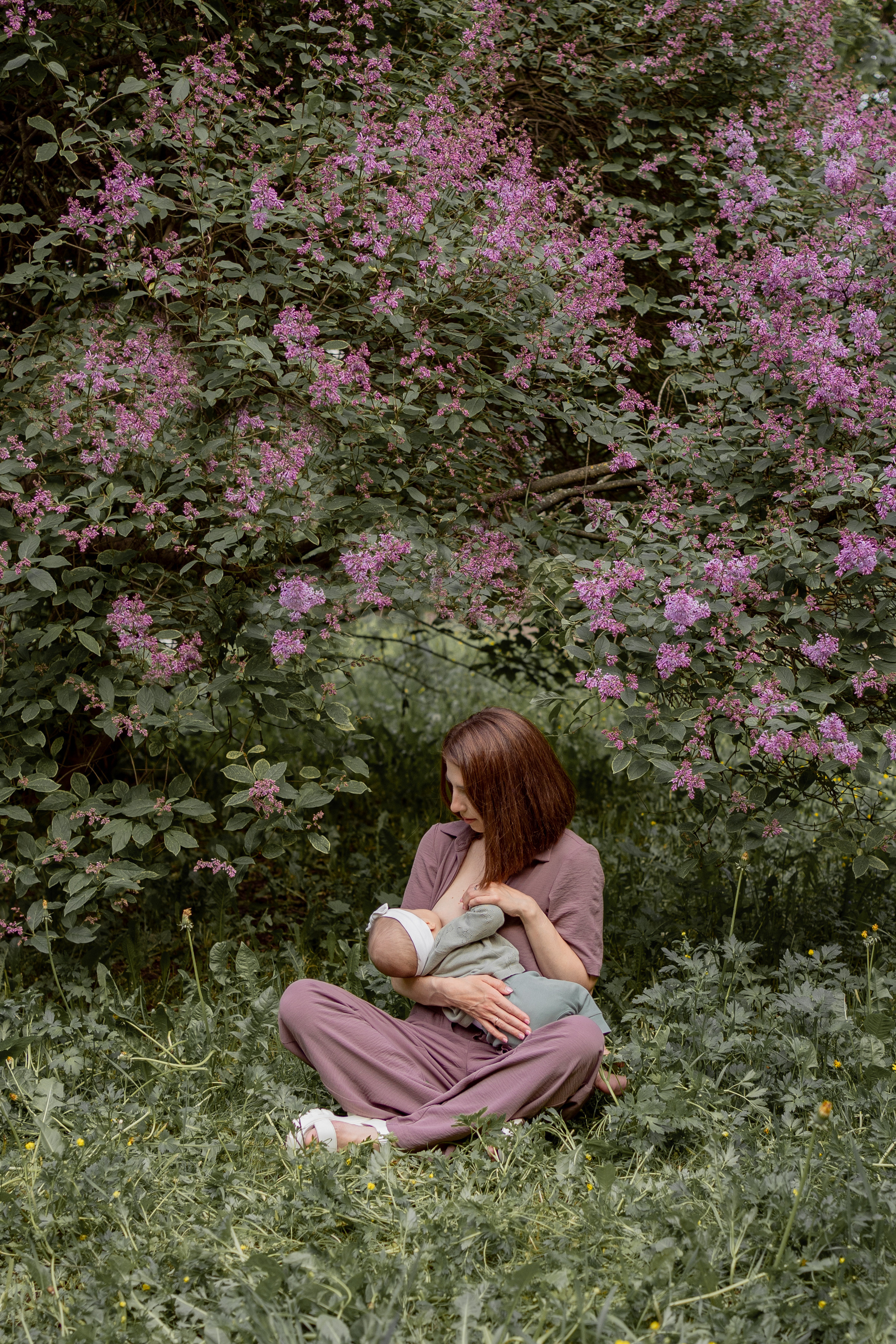 Женя и Лера в сирени. Фотограф грудного вскармливания в Москве Екатерина