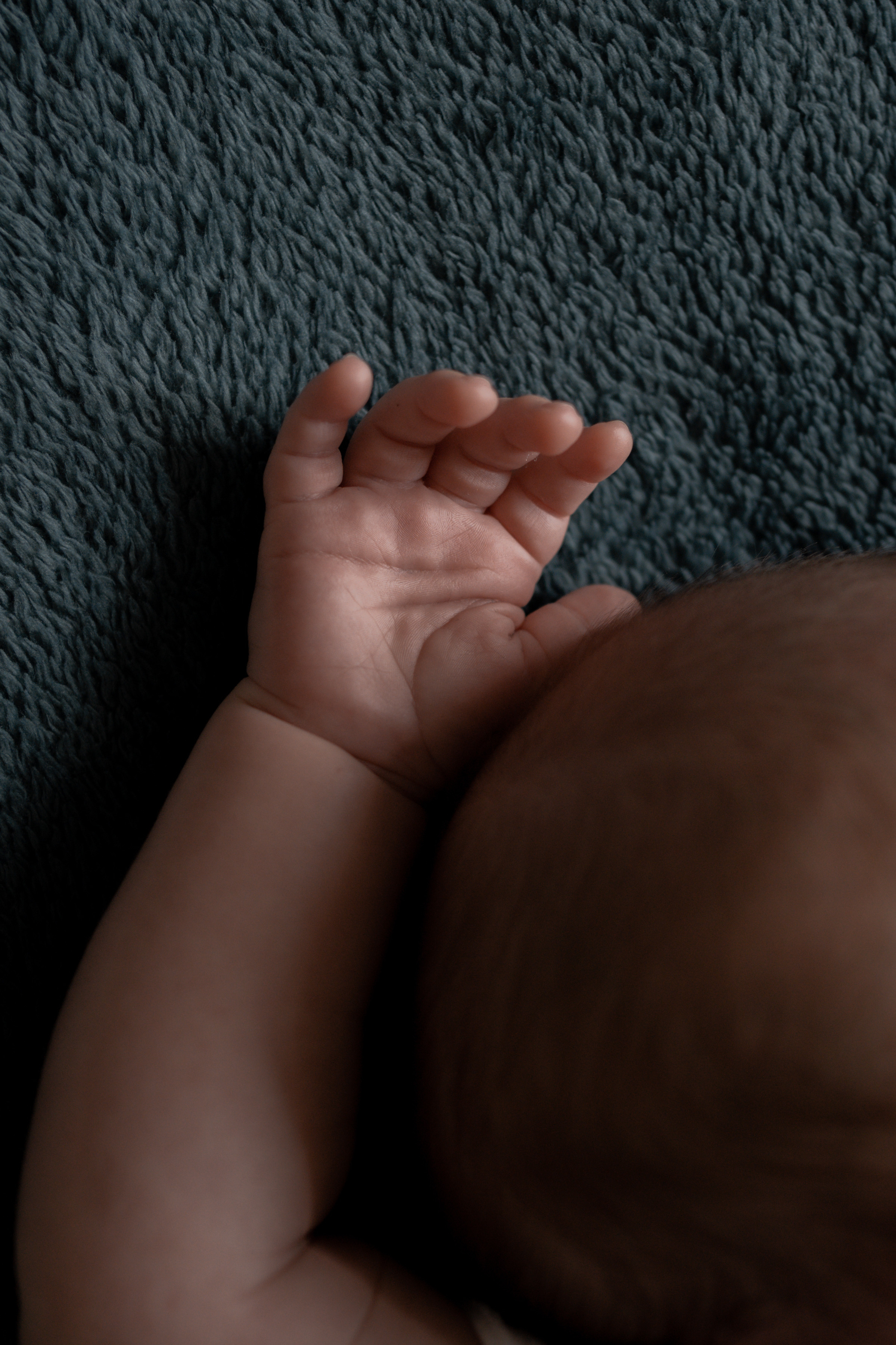 Даша, Никита и Ева. Фотограф грудного вскармливания в Москве Екатерина