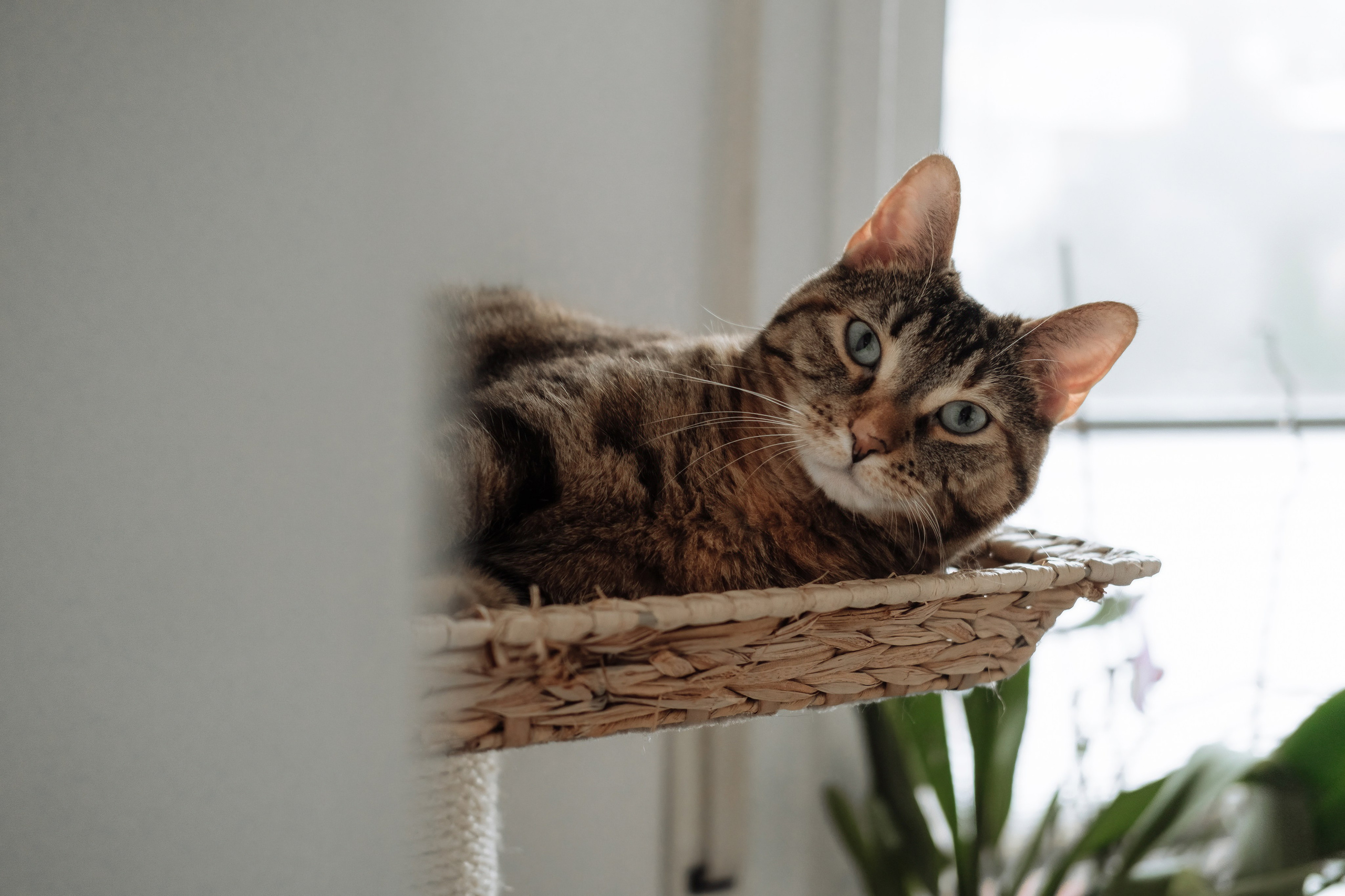 Ivan & Anna & Mark. Photographer Cologne Bonn Europe Anna Ketova