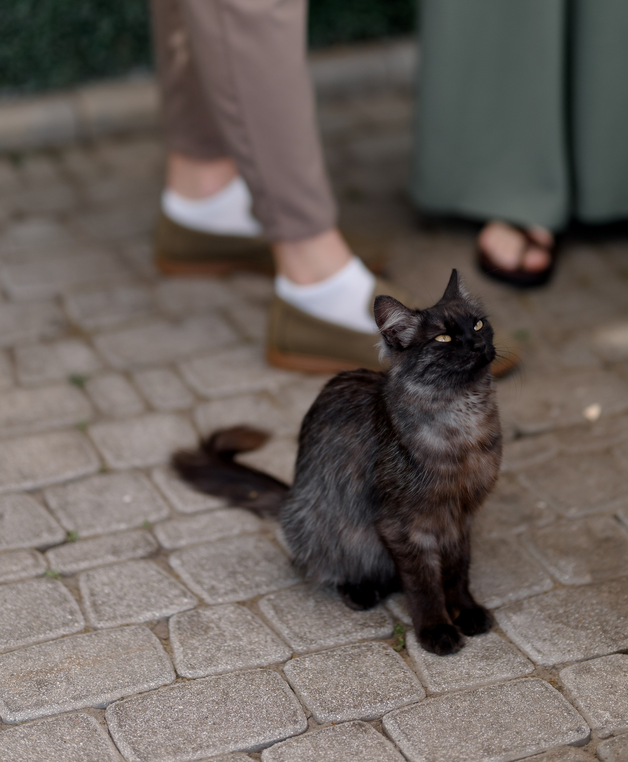 Егор и Анастасия. Фотограф Анна Абрикосова