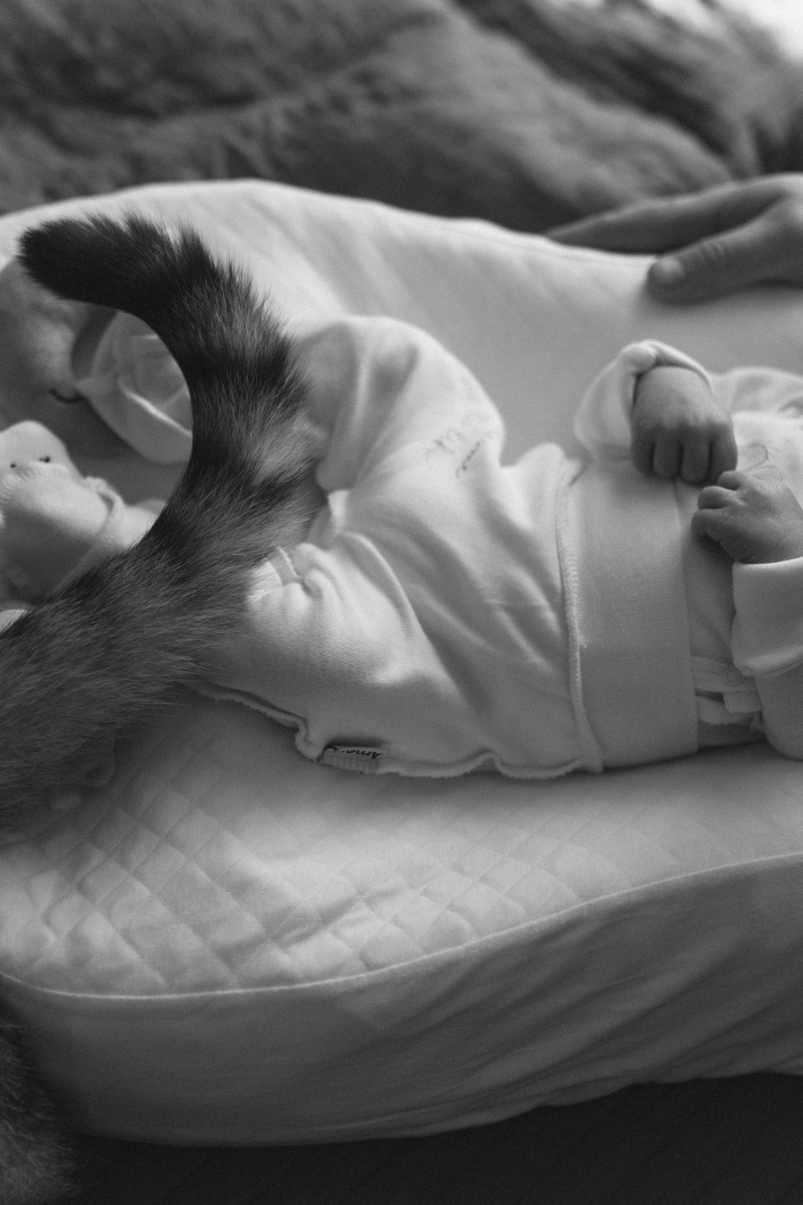 Тимур. Семейный фотограф Губкин/Старый Оскол