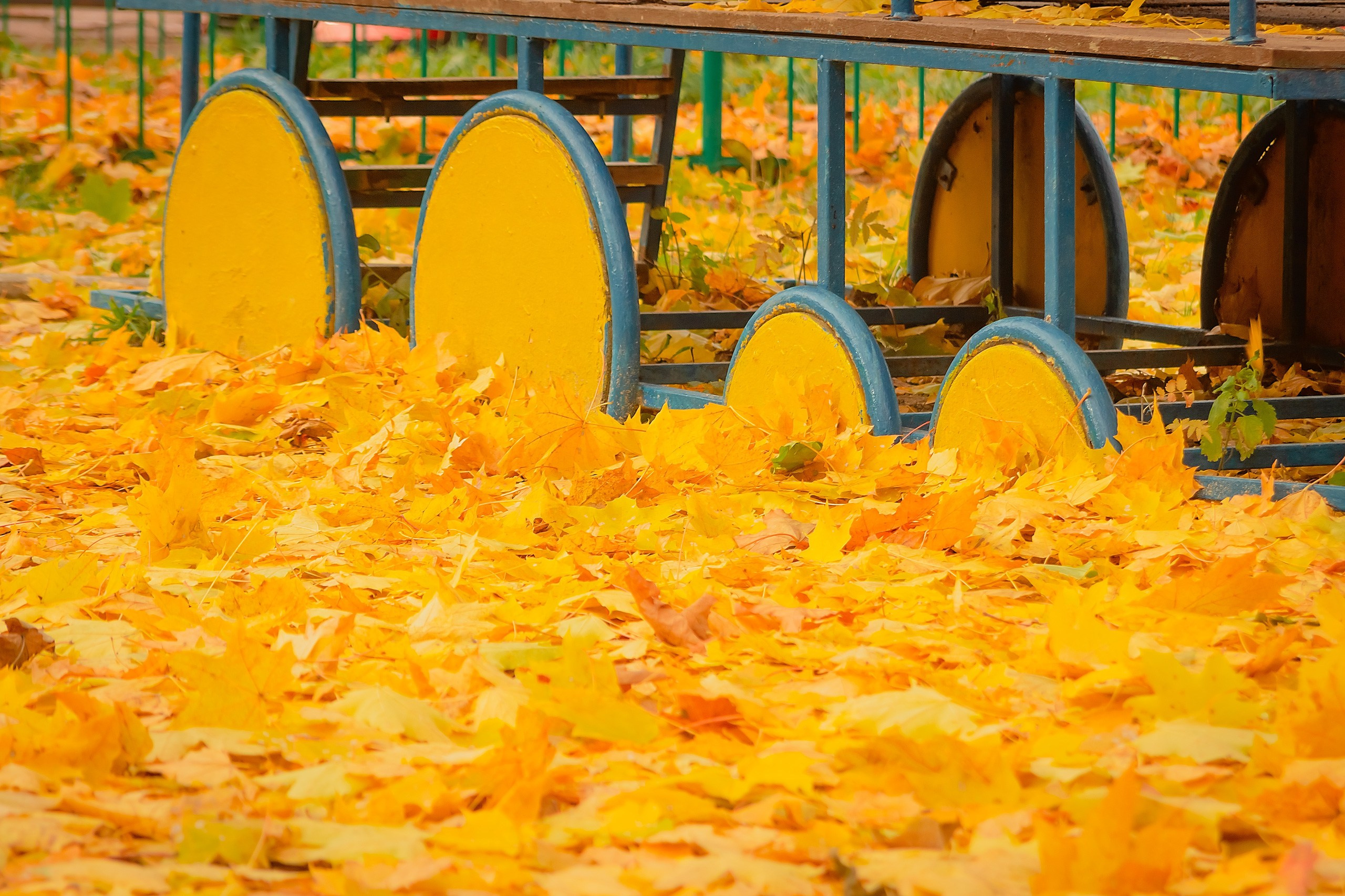 Свет и Цвет. Аmat Victoria Сuram