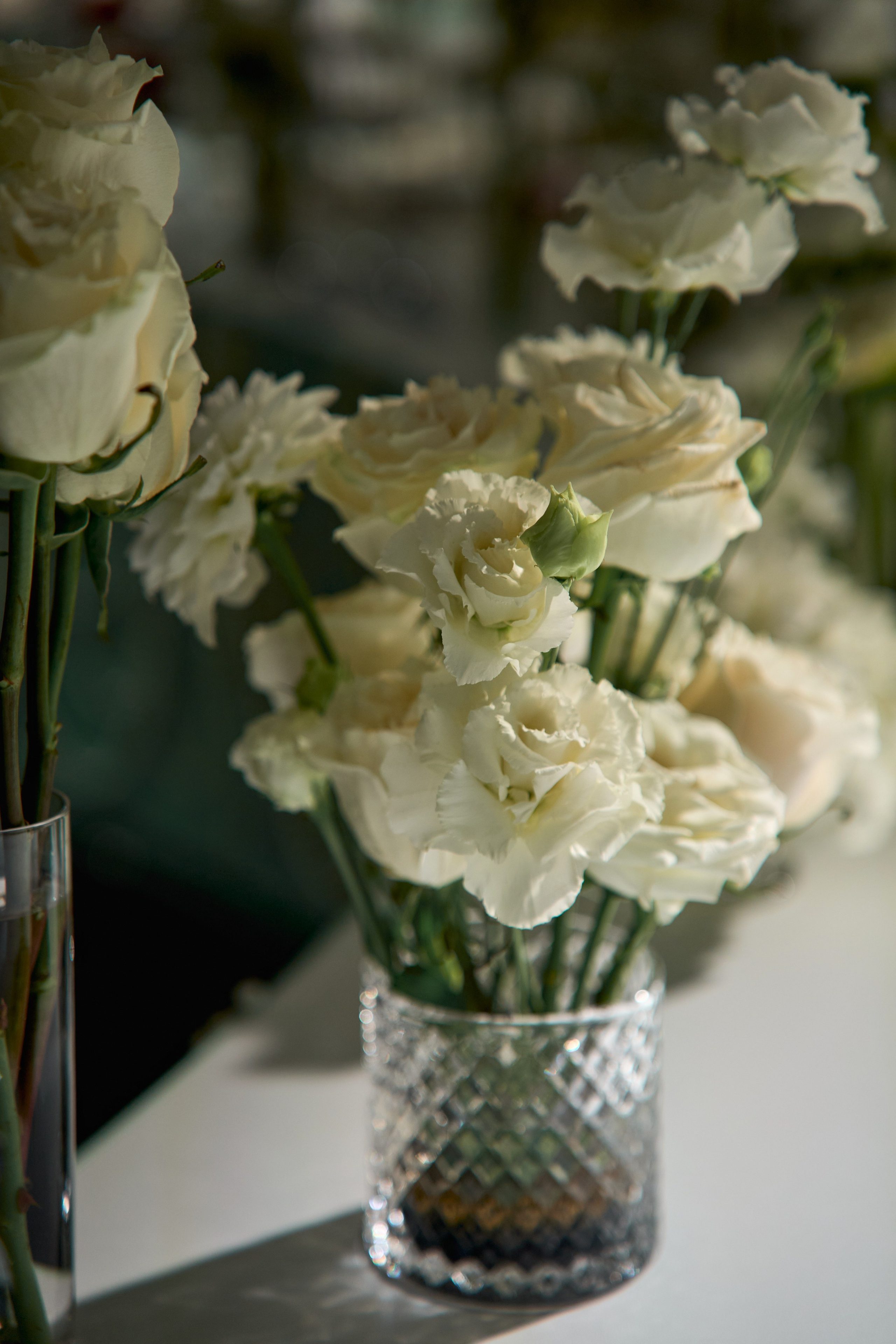 Красивое сватовство со звездами в Сид Холе в Пятигорске! ТВИНС СТУДИО. ТВИНС СТУДИО — лучшие свадебные фотографы и видеографы в Краснодаре