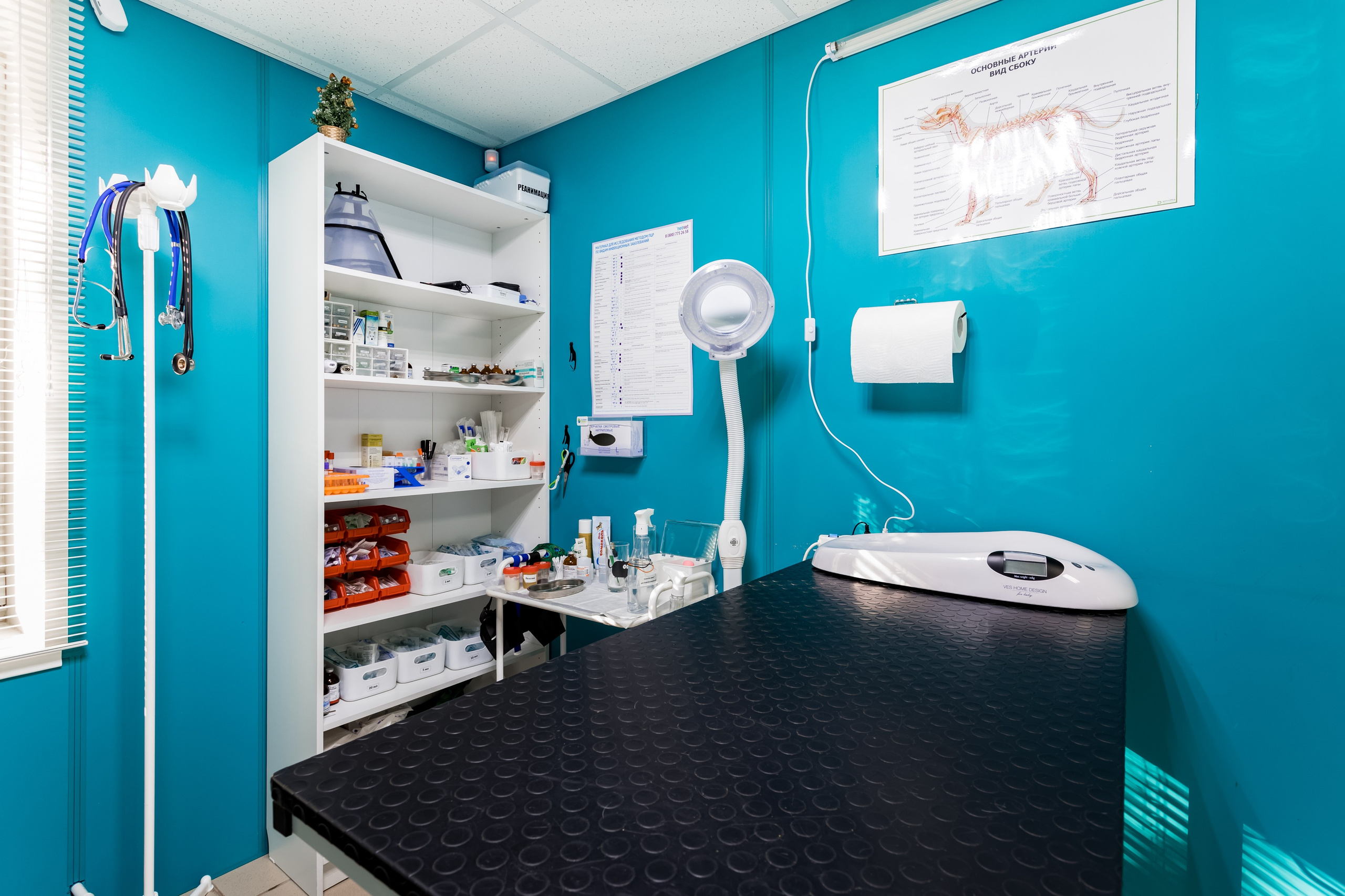 Интерьерная съемка для ветеринарной клиники Прив-вет. Интерьеры, Контент, Портреты | Фотограф в Москве Дани Терно