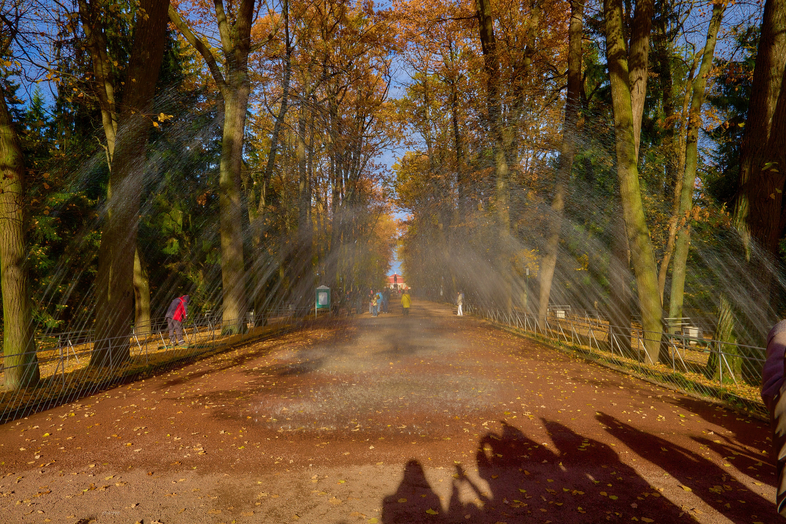 Петергоф. Фотограф Михеев Андрей