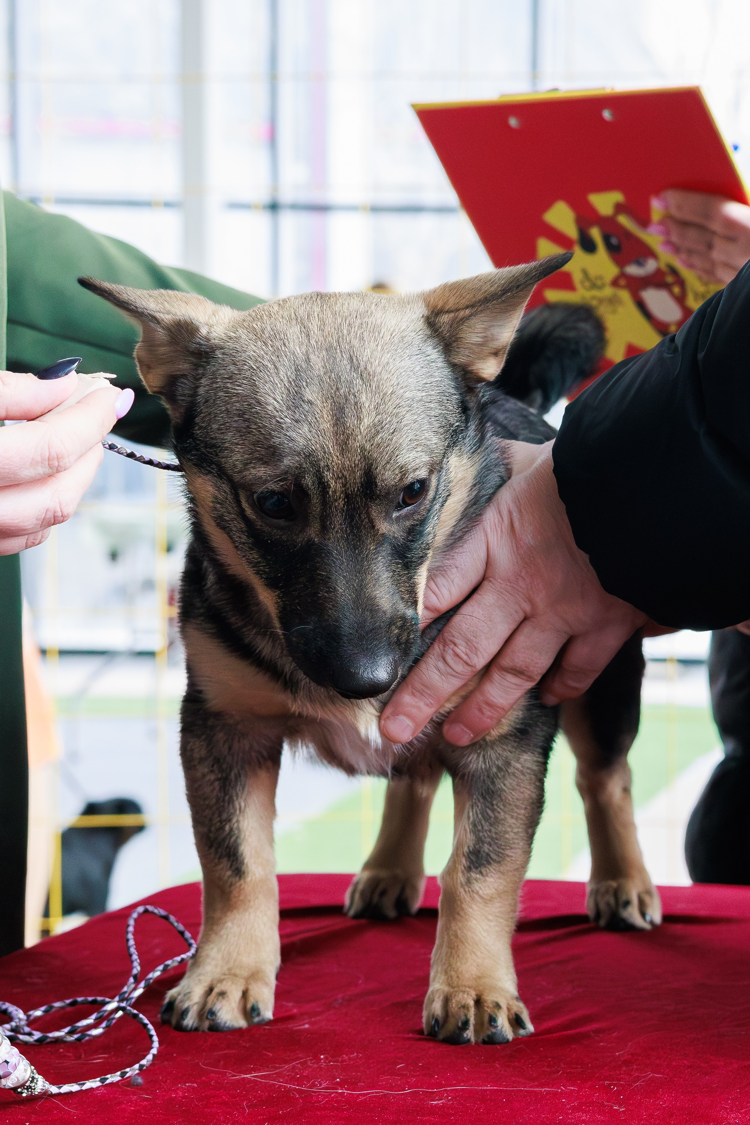 Выставки. Фотограф Марк Файзулин
