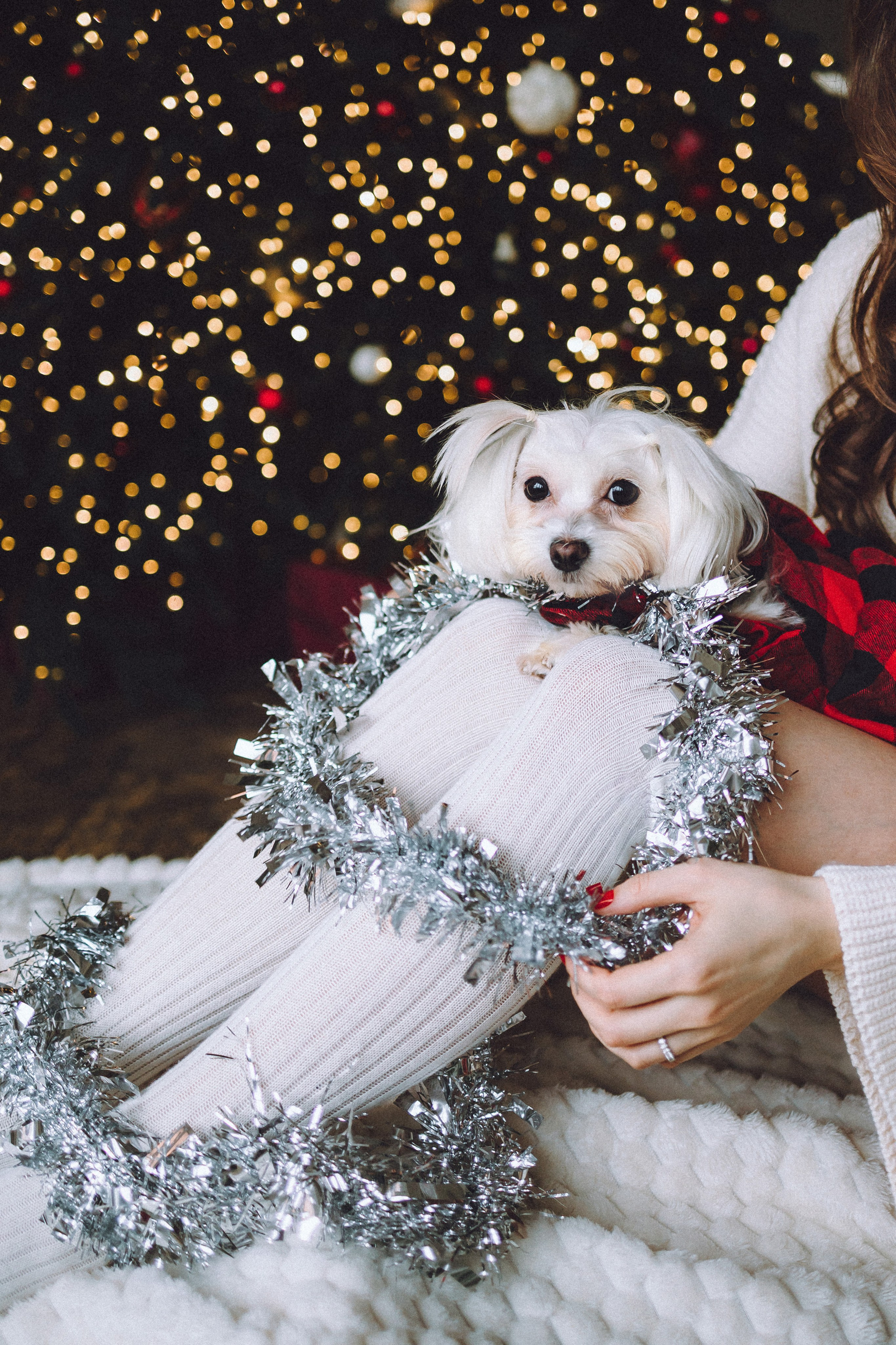 Констанция и Молли