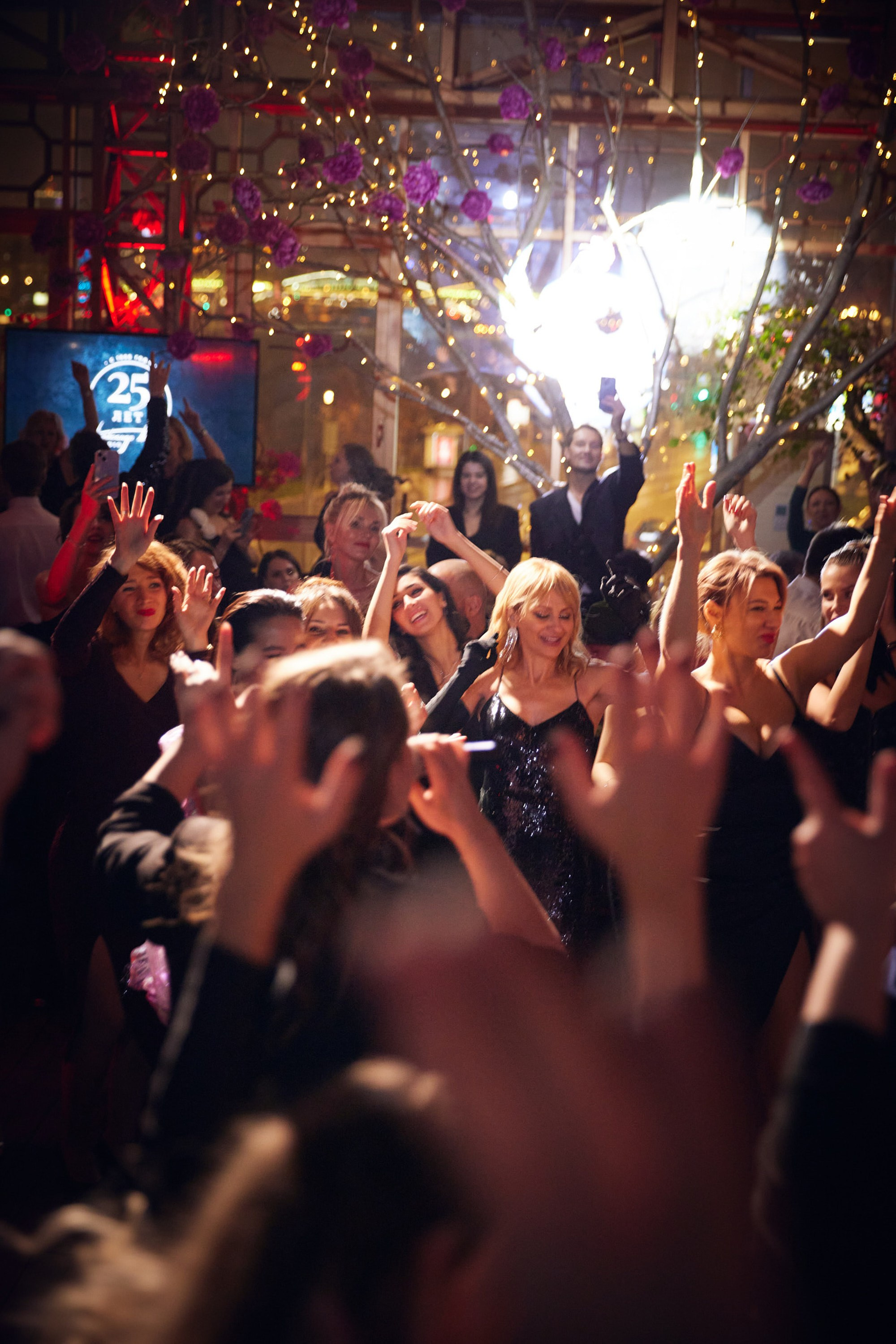 безудержное веселье