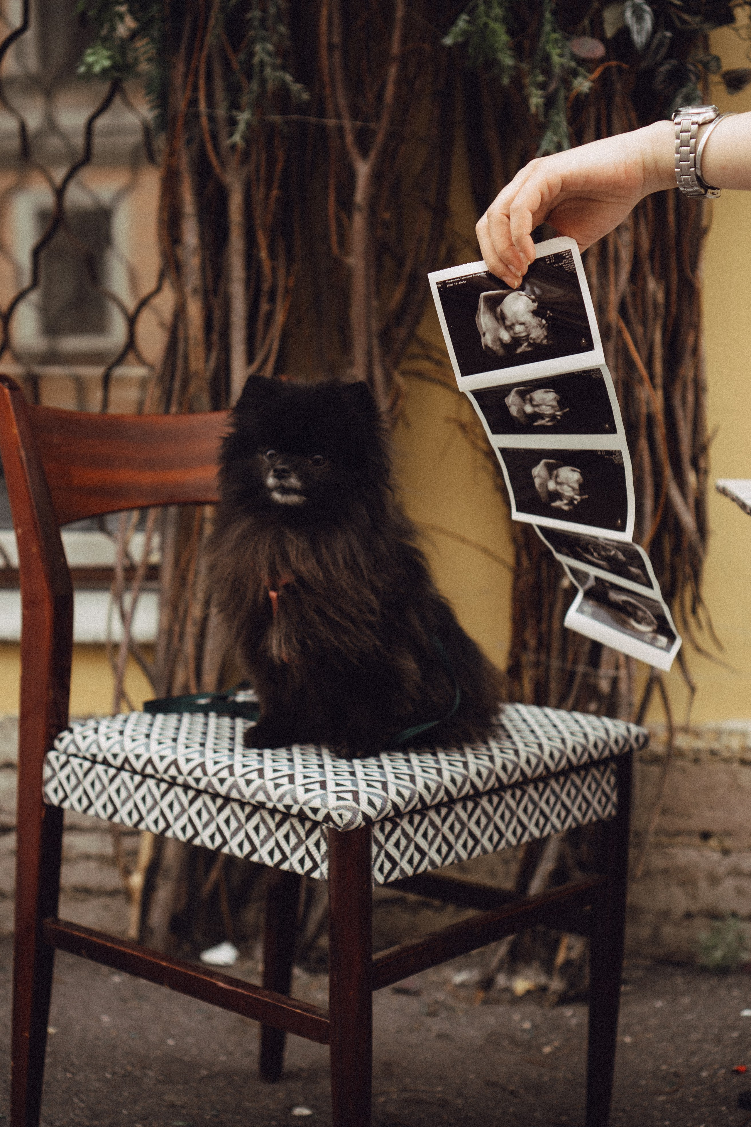 Беременность (только часть фото по желанию клиентов могу показать)). Профессиональный фотограф, Санкт-Петербург — Виктория Богомолова