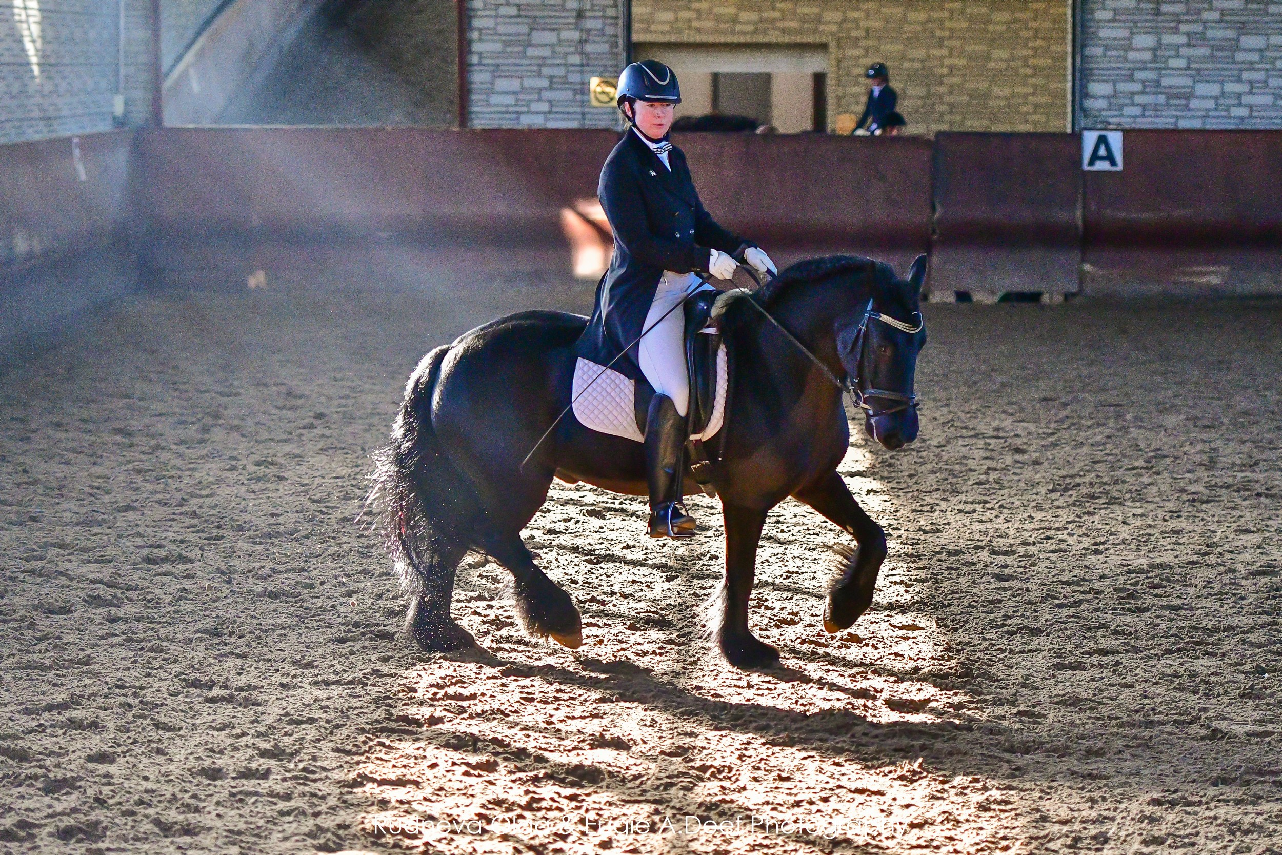 Отзывы. ТУРНИРНАЯ КОННАЯ ФОТОГРАФИЯ, Руднева Ольга и Евгений Адеев