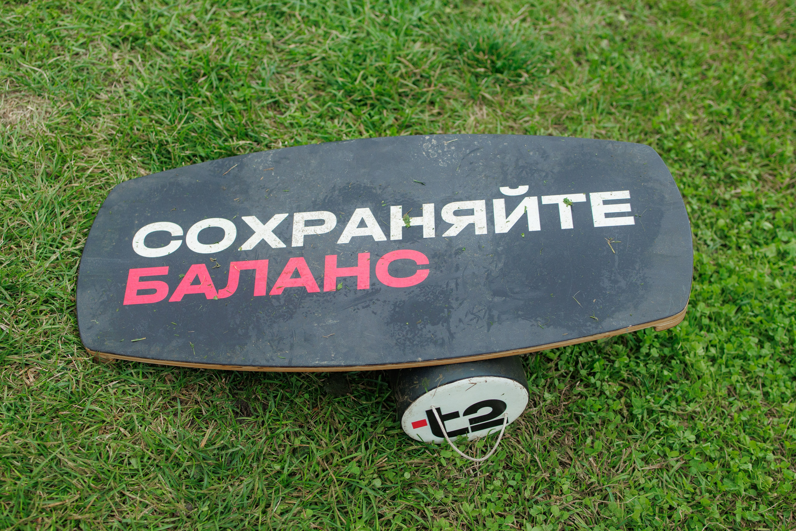 Газон.Фест-2025. Семейный и женский фотограф в Туле