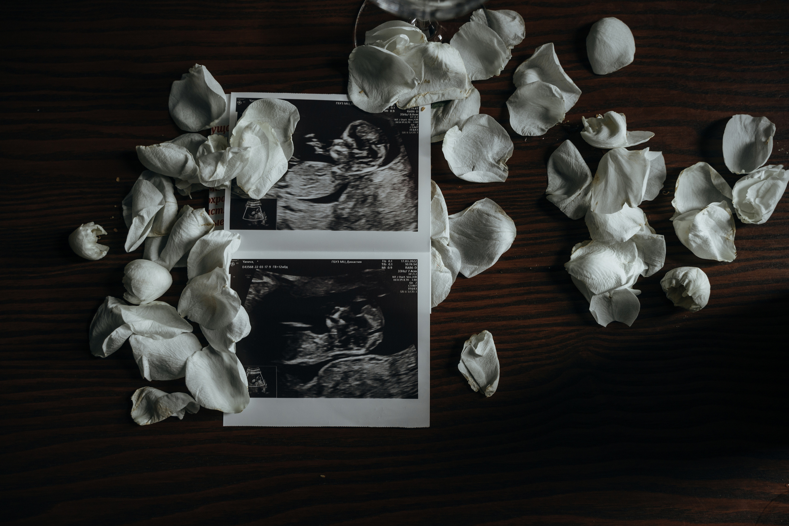 1+1. Фотограф Санкт-Петербург