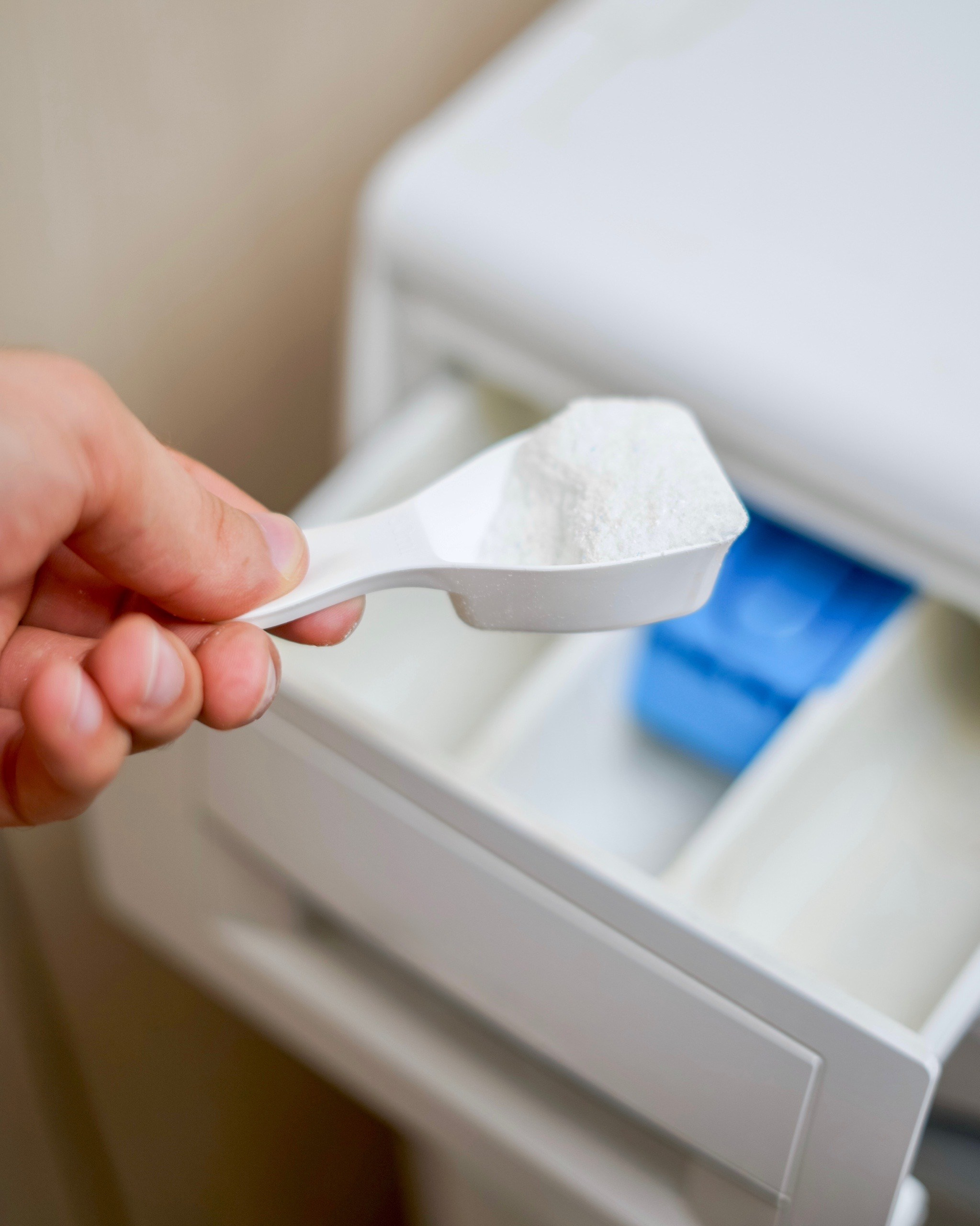 Astel. Фотограф Александра Волкова | Волгоград