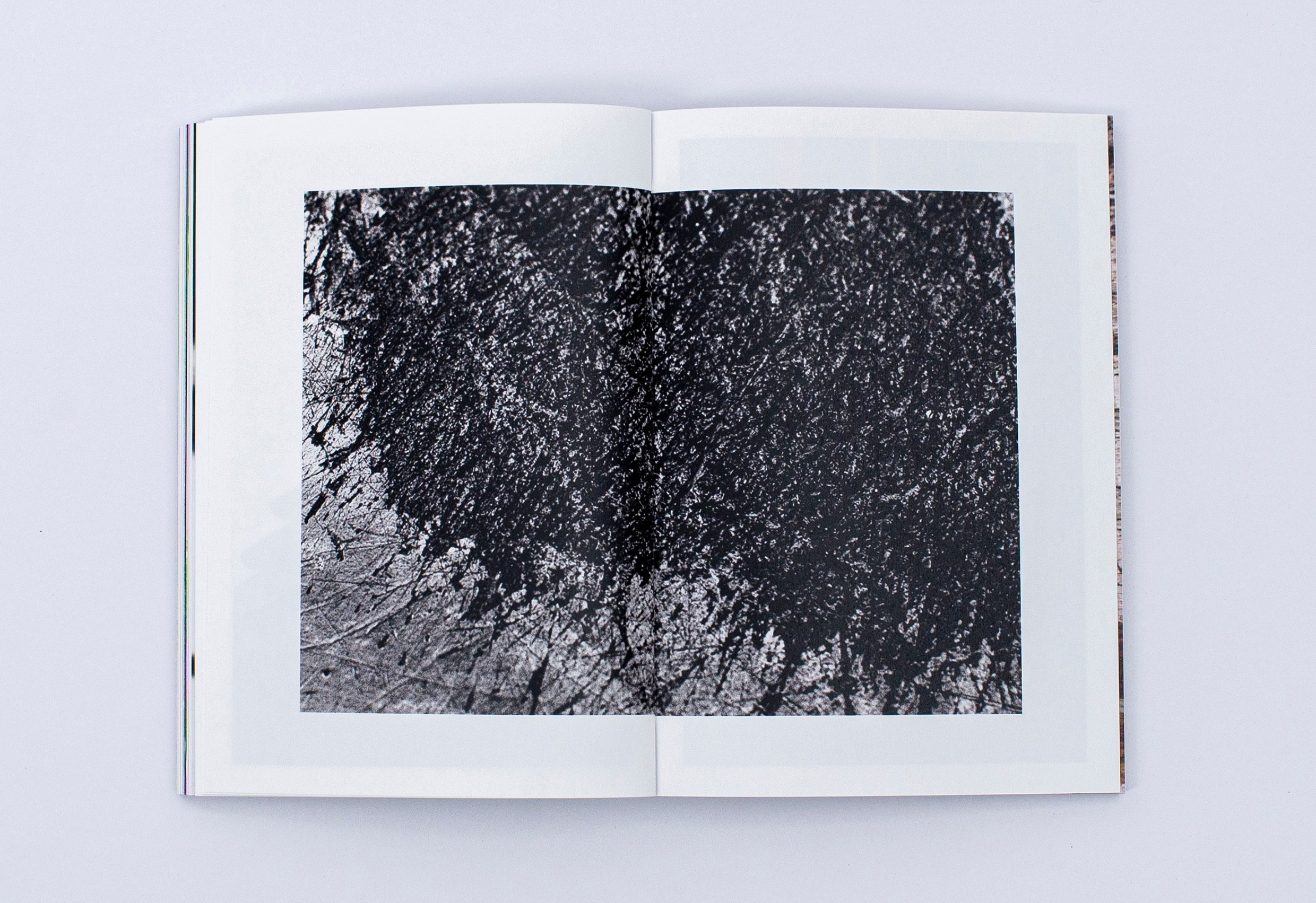 Книга. Фотограф в Москве Алейникова Евгения