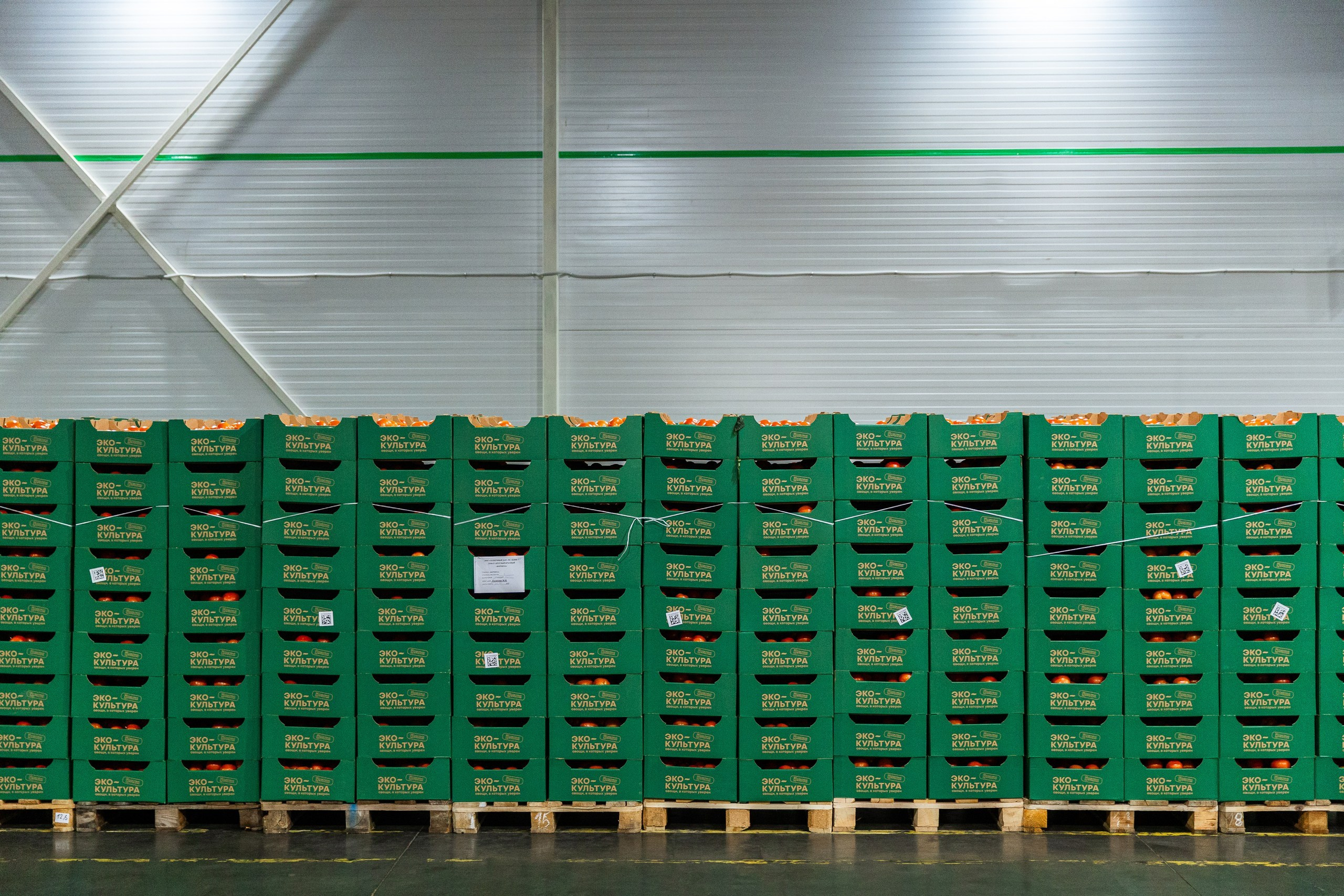 Производство. Фотограф Николай Петрушкин | Ставрополь, Москва