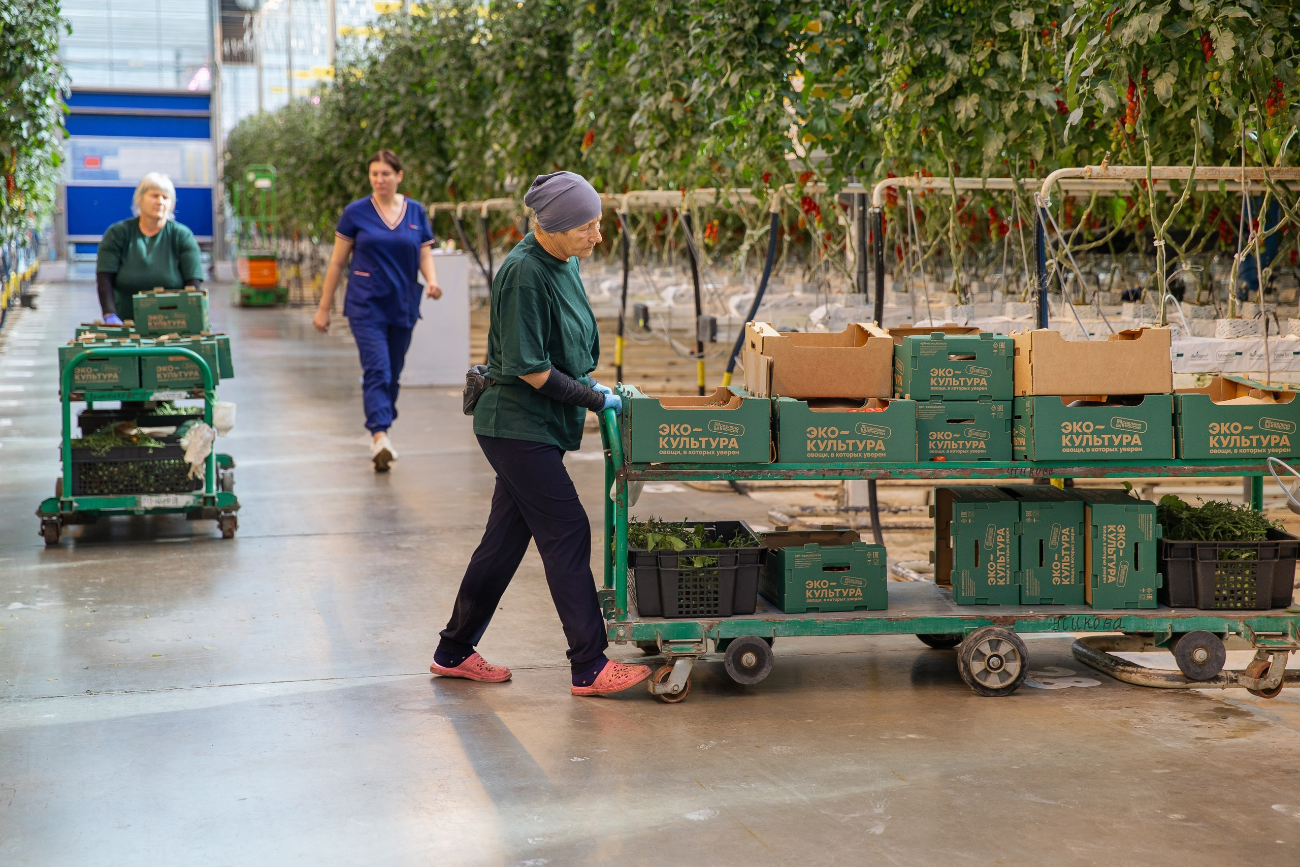 Производство. Фотограф Николай Петрушкин | Ставрополь, Москва