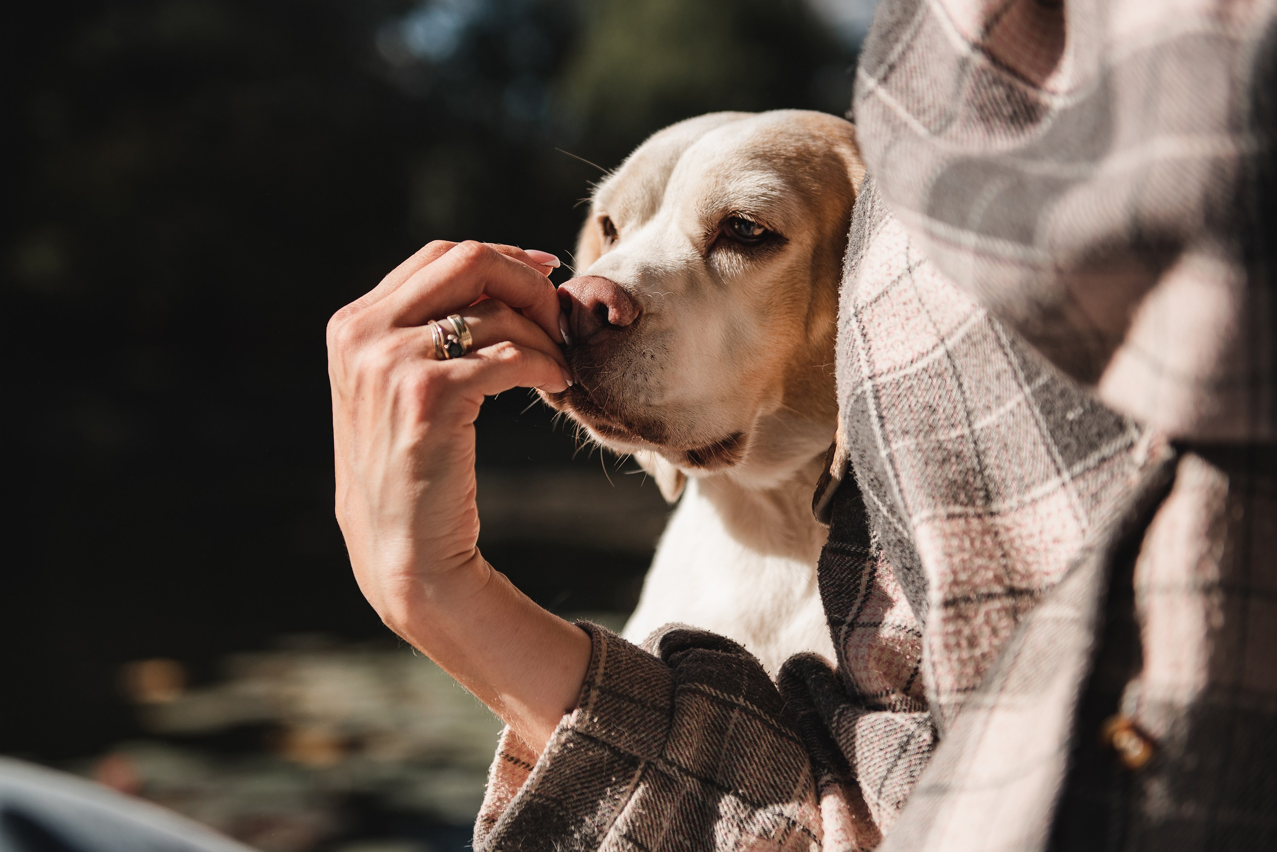Оля и Ника. Семейный Фотограф в Москве Ирина Хохлова