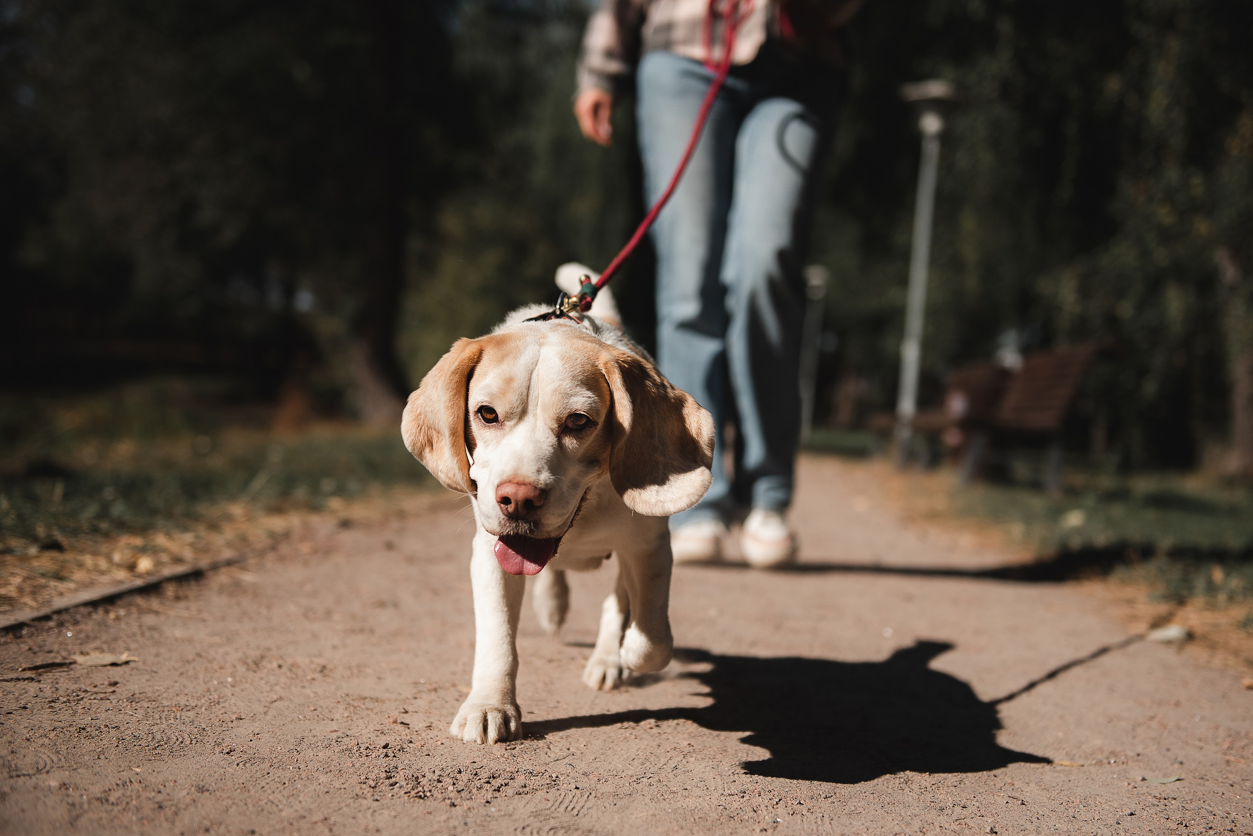 Оля и Ника. Семейный Фотограф в Москве Ирина Хохлова