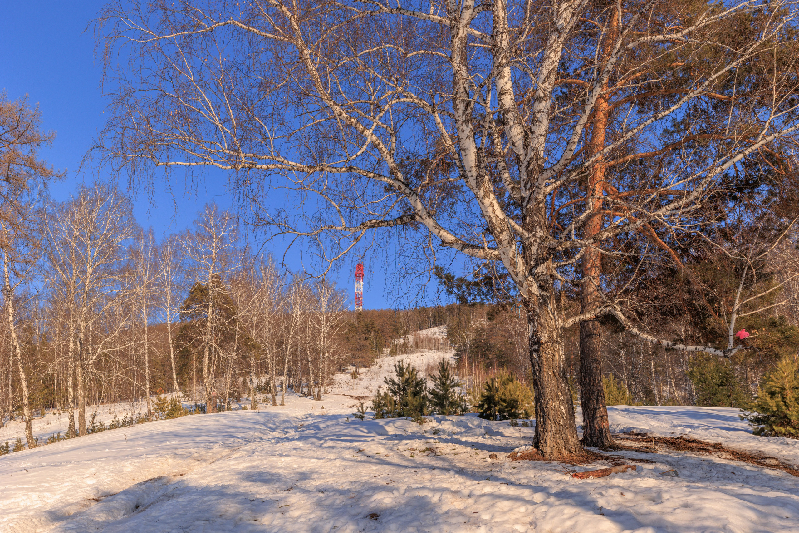 Пейзаж и город. Фотограф Леонид Мартенс