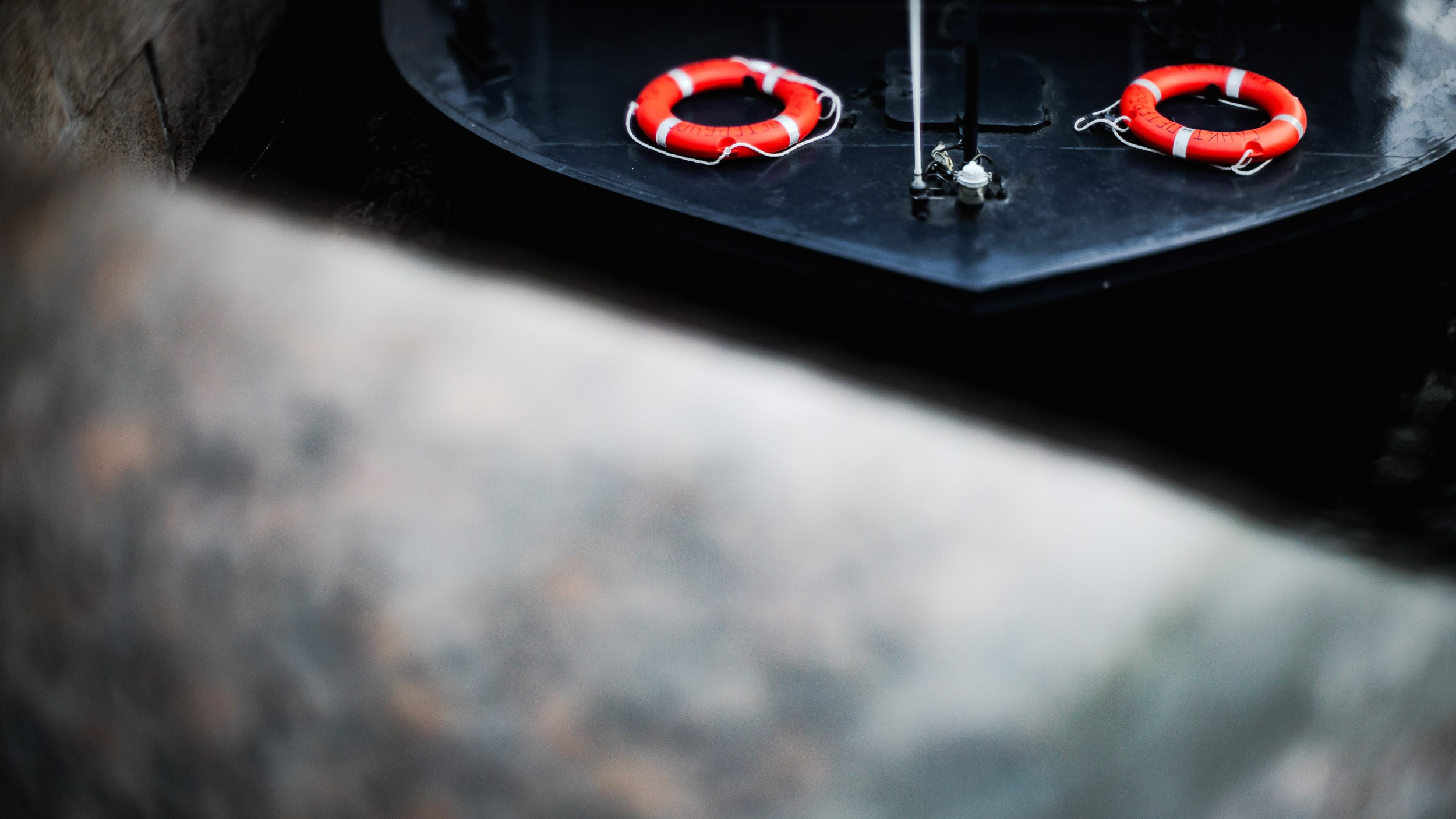 Saint Petersburg. The Andris