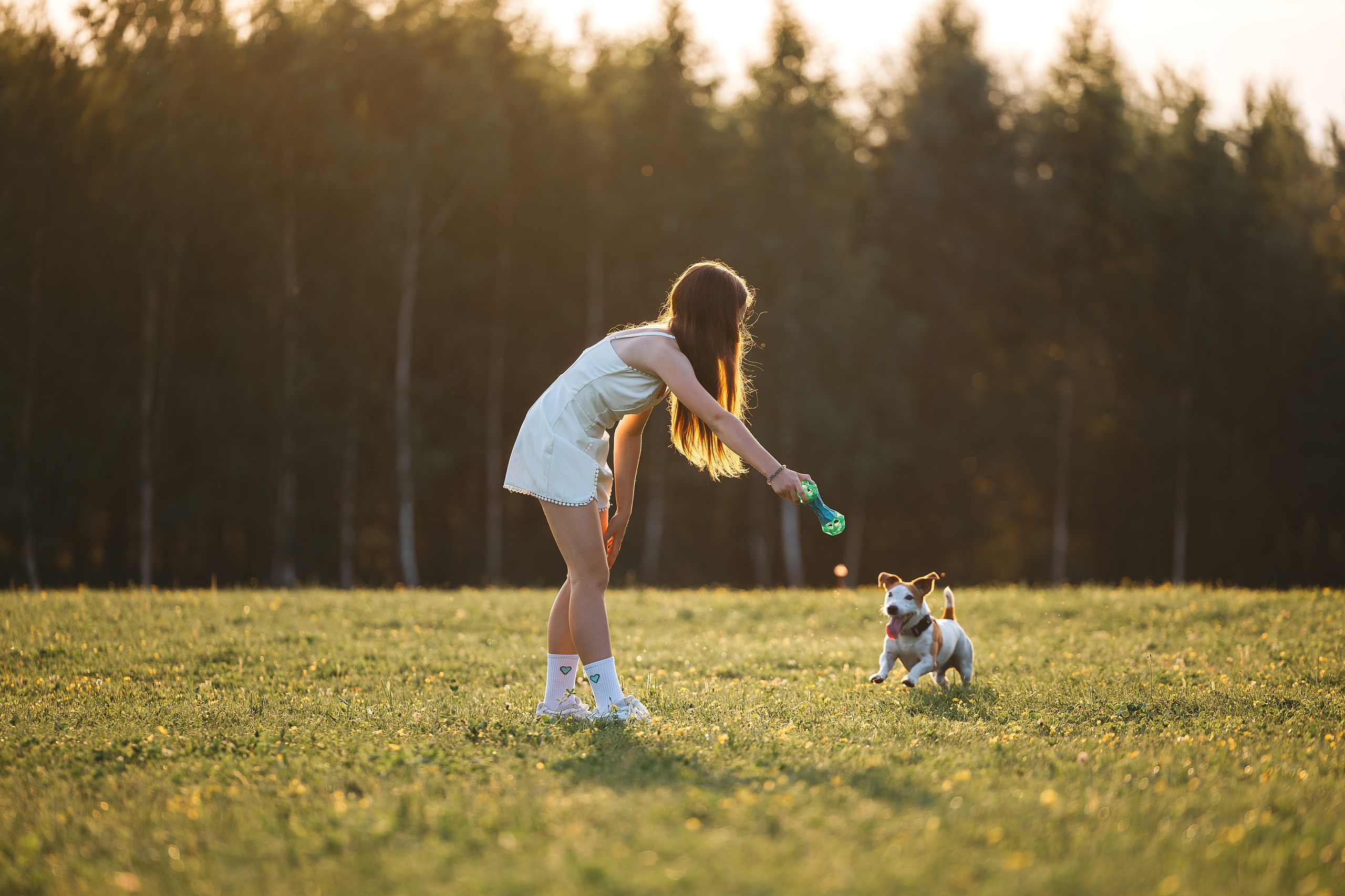 Юлиана и Риф (в обработке). Фотограф Анималист в Москве Анастасия Жучкова