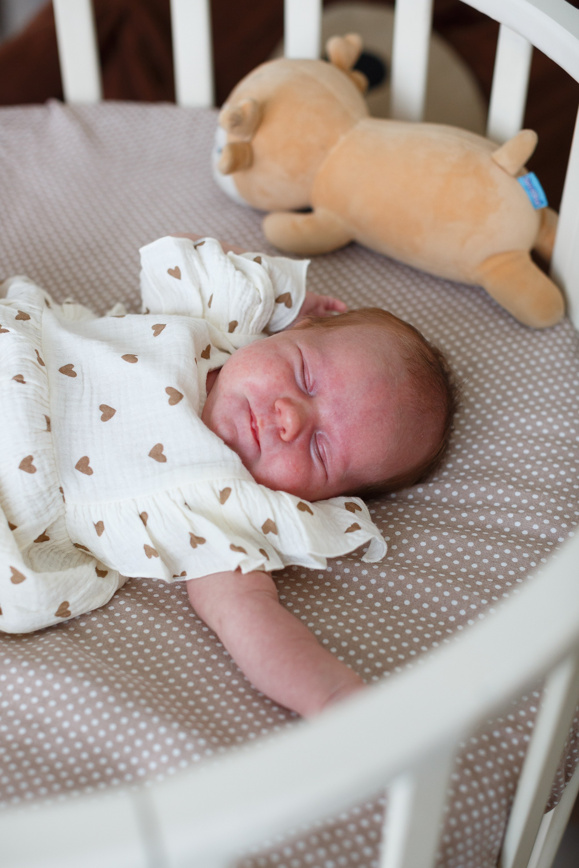 Семейная фотосессия в студии.