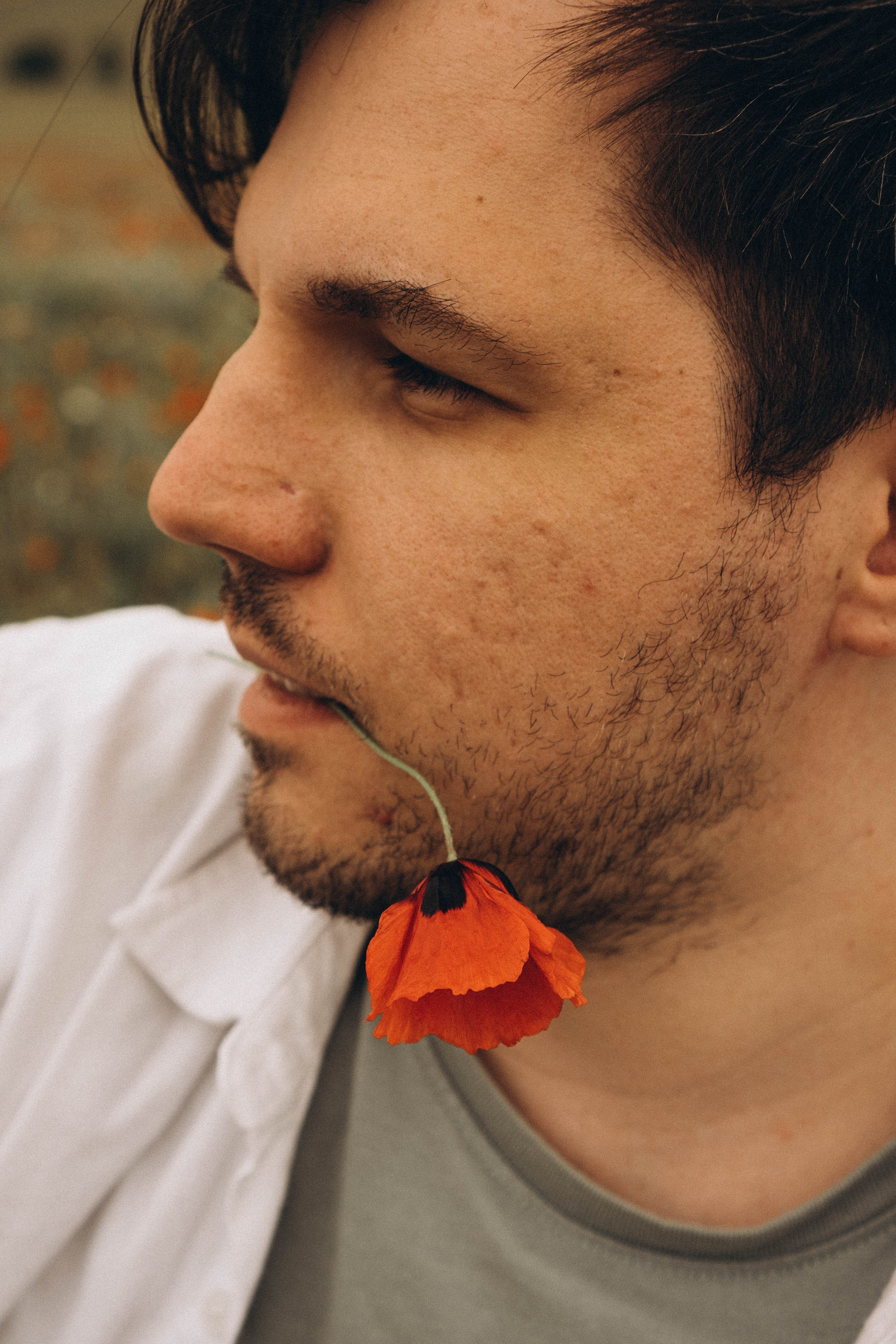 Маки. Профессиональный фотограф, Санкт-Петербург — Виктория Богомолова