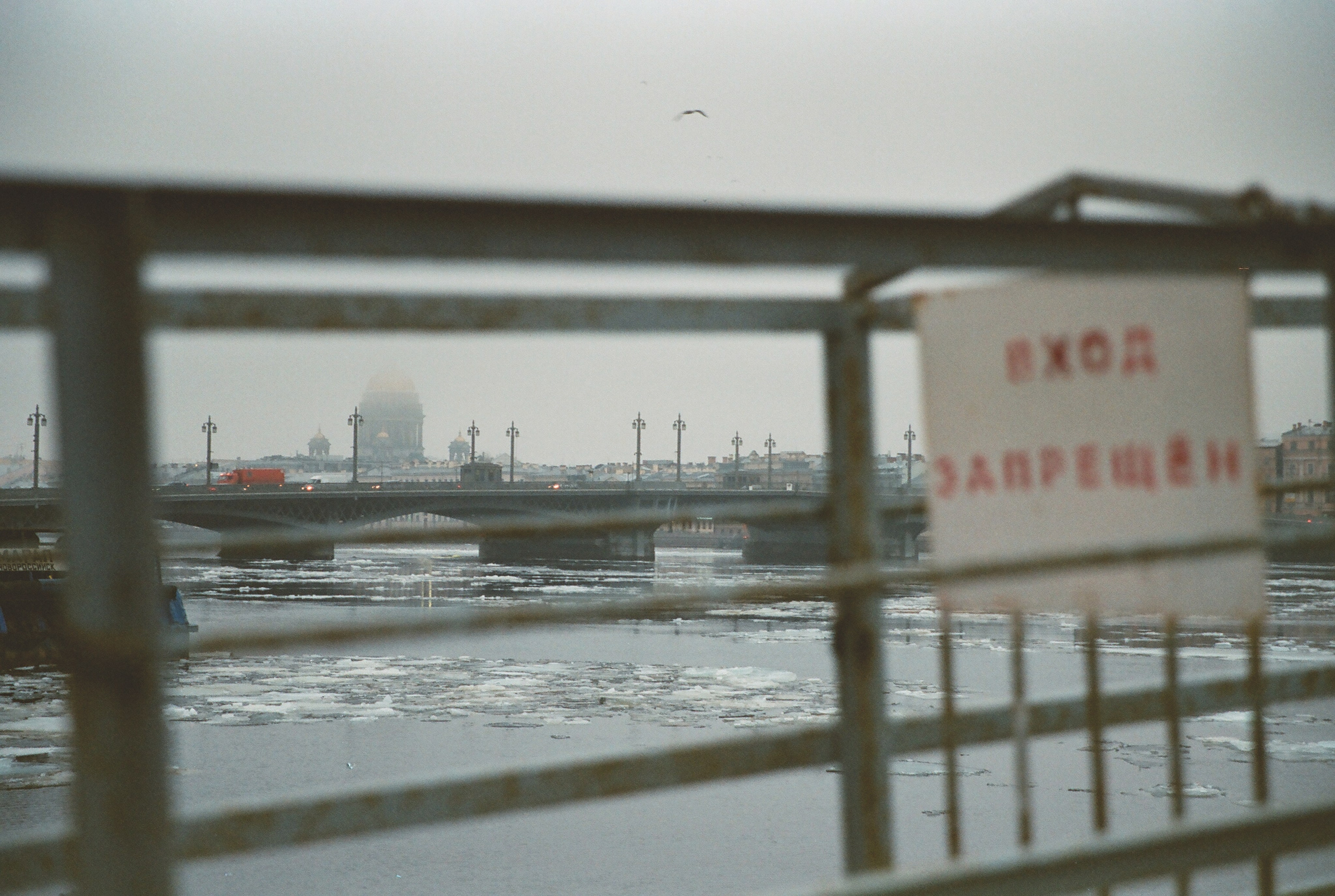 Фотографии цветные. Свадебный и семейный пленочный фотограф в Петербурге Истомина Ирина