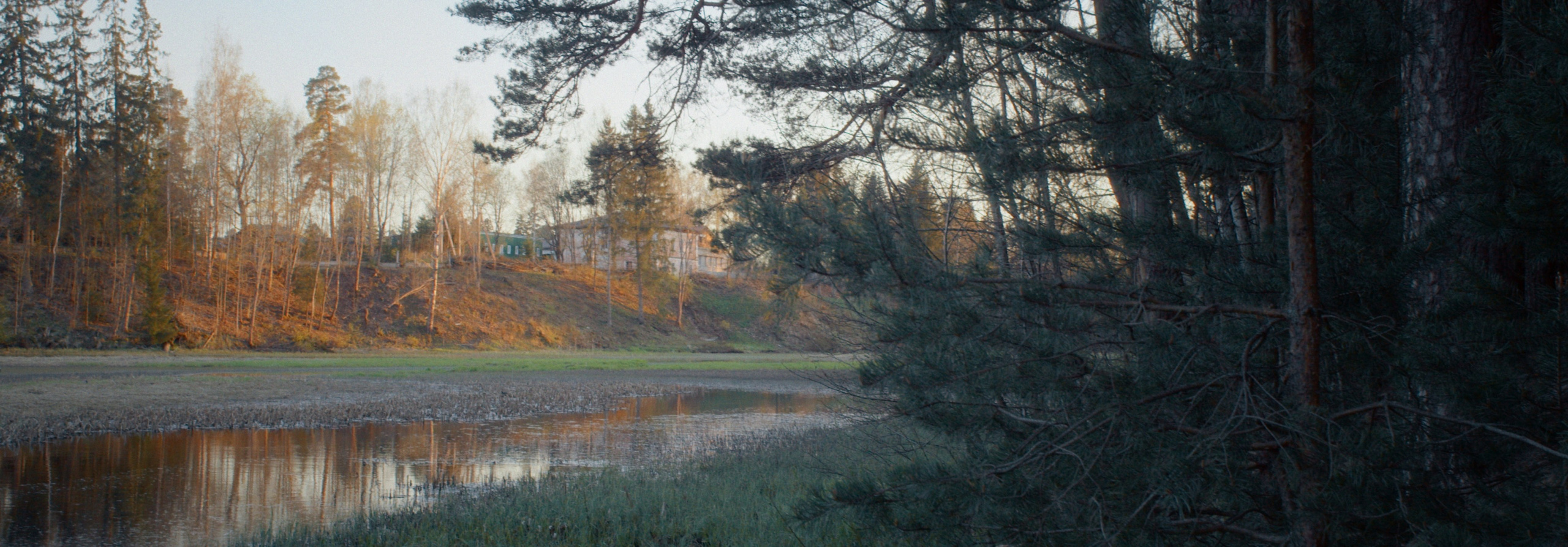 БЕГИТЕ, ДЕТКИ! К/М ФИЛЬМ. Колорист Кирилл Сокуренко