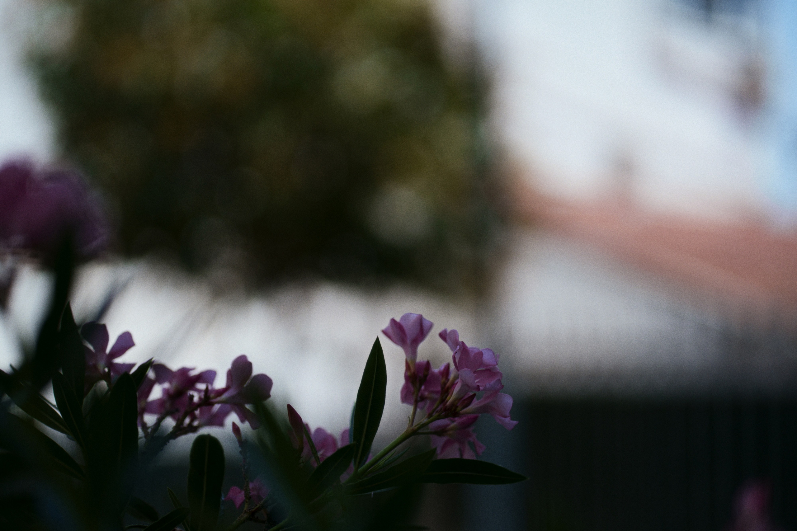 Büyükada х Heybeliada, Istanbul / Türkey SS25. Фотограф Юрин Евгений