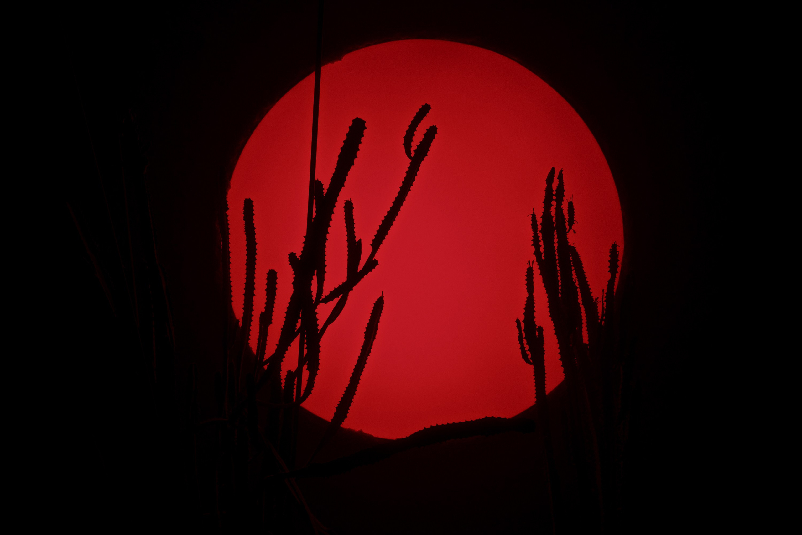 Garage MCA / “Грядущий мир: экология как новая политика. 2030–2100”. Фотограф Юрин Евгений