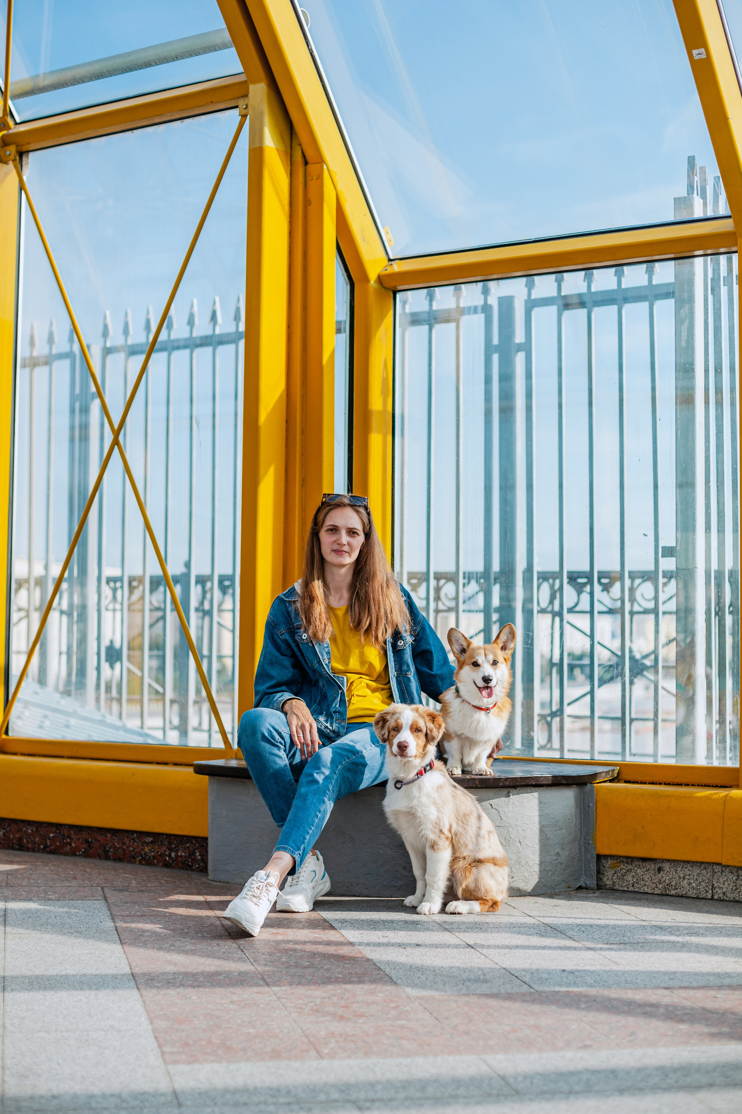 Андреевский мост. Фотограф-анималист Татьяна Степанова