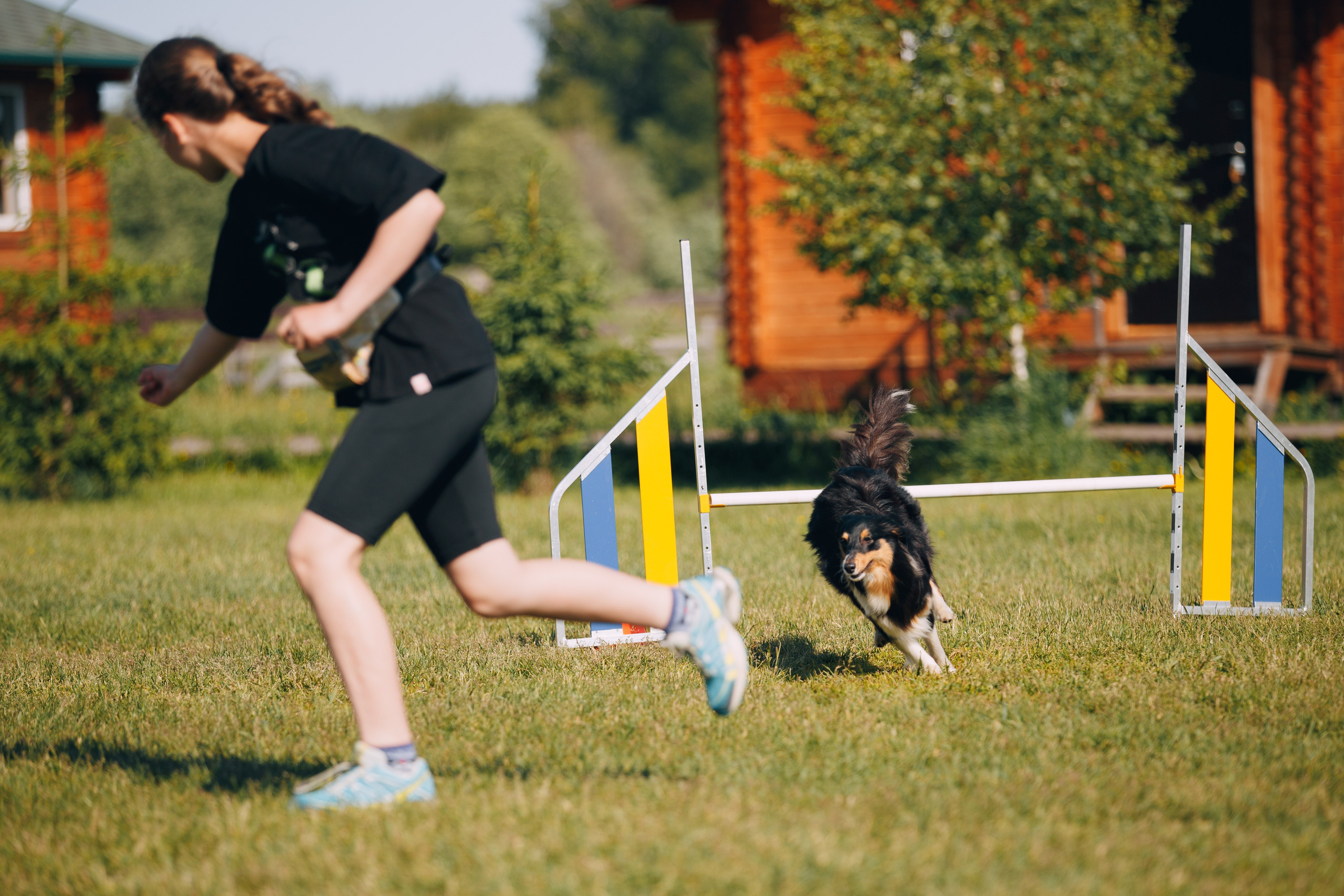 Кинологический лагерь в Горыныче. Фотограф анималист Кристина Карпова, Москва