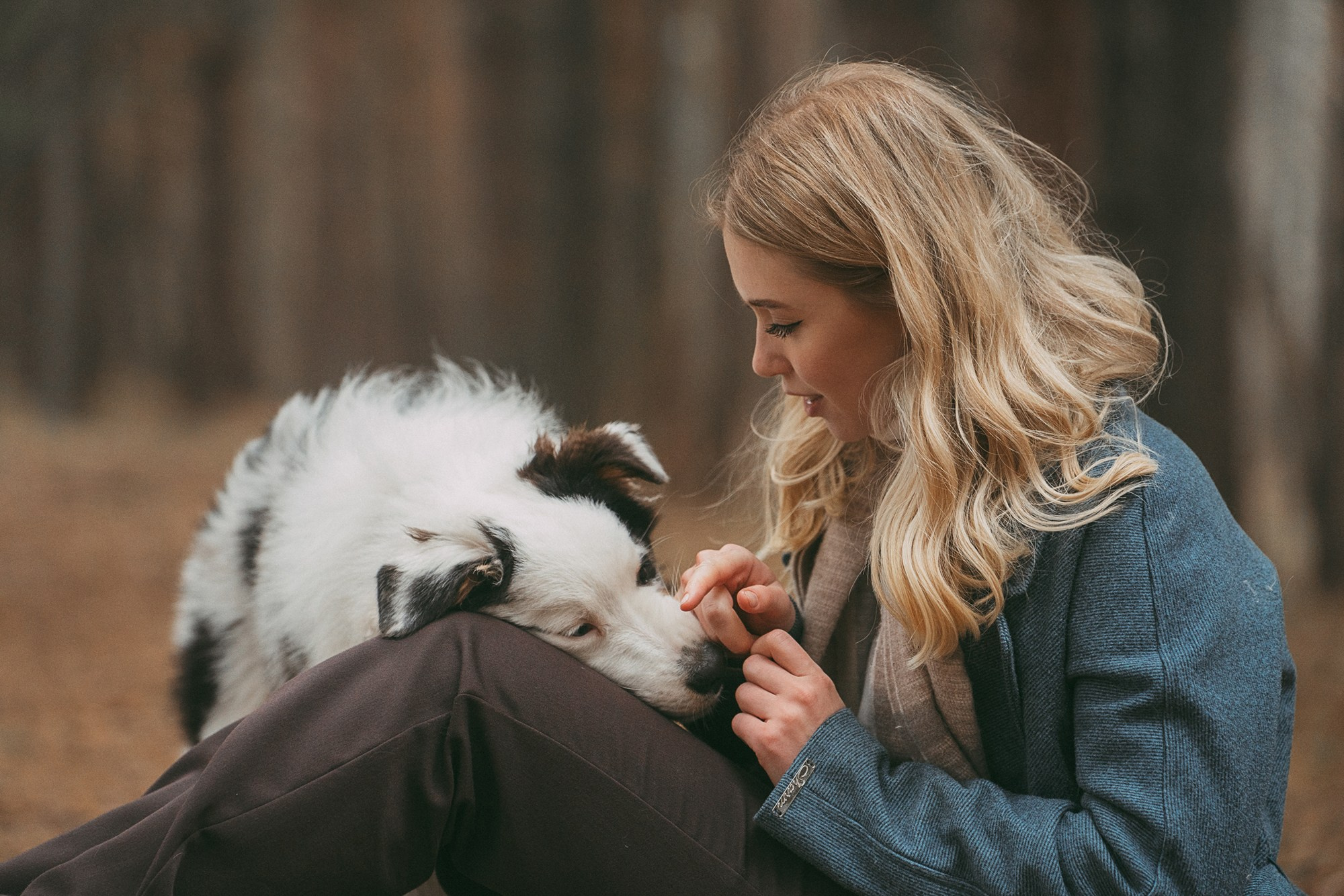 Лиза и Бублик. Фотограф анималист в Москве и Санкт-Петербурге Свиридова Анна