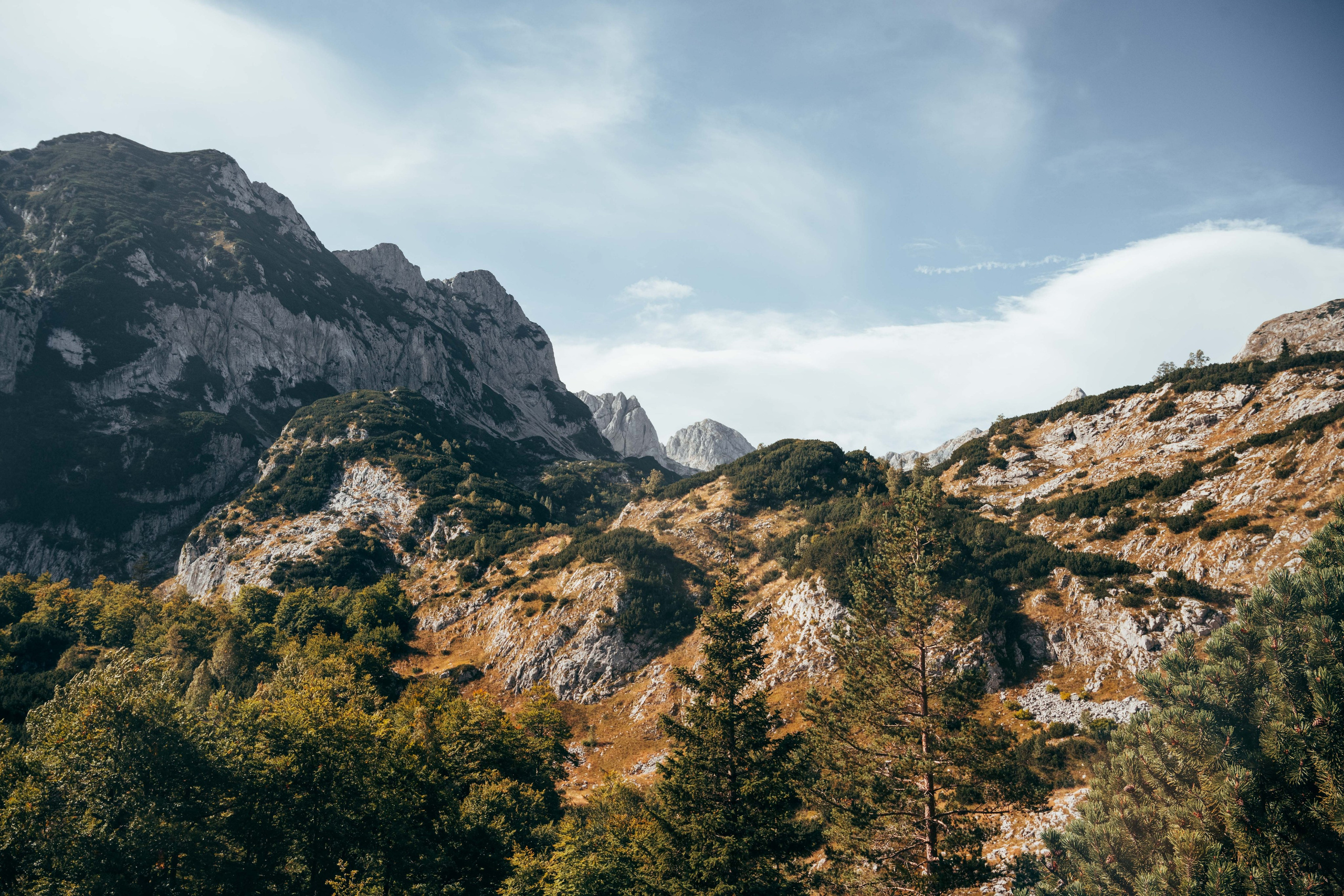 ДОЛИНА ЛОКВИЦЕ. ЧЕРНОГОРИЯ. Фотограф в Белграде Чугреева Елена