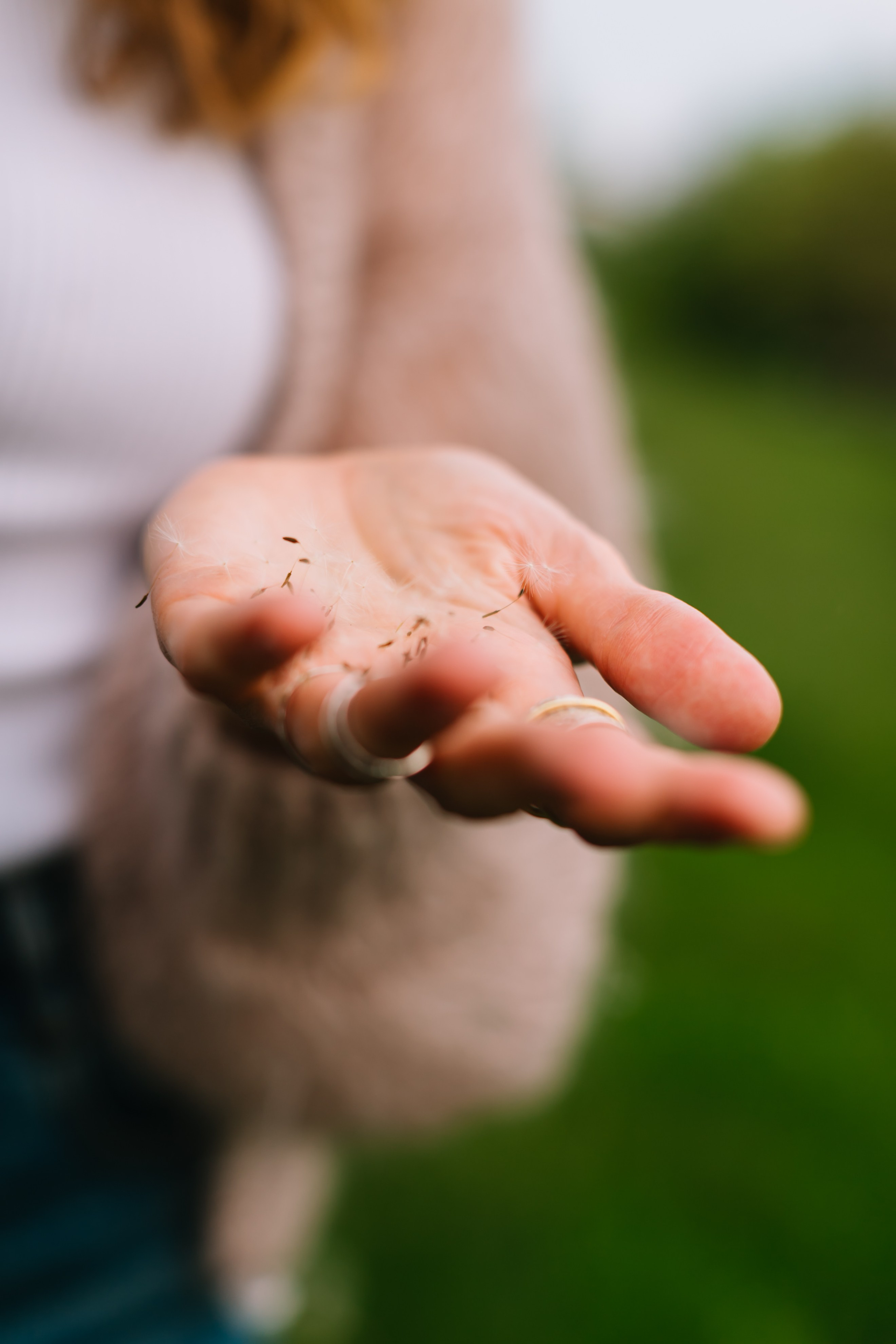 алёна малахова фотограф новосибирск семейный детский домашняя фотосессия в новосибирске день рождения репортажная съёмка фотосессия с лошадьми на конюшне деревня алтай  на природе фотосессия в детском саду мама и сын предложение руки и сердца идея  помолвка фотосессия берег закат детский день рождения годик торт аниматор лофт игровая продолжение следует prodoljenie_sleduet_  корпоратив тимбилдинг первоклашка линейка 