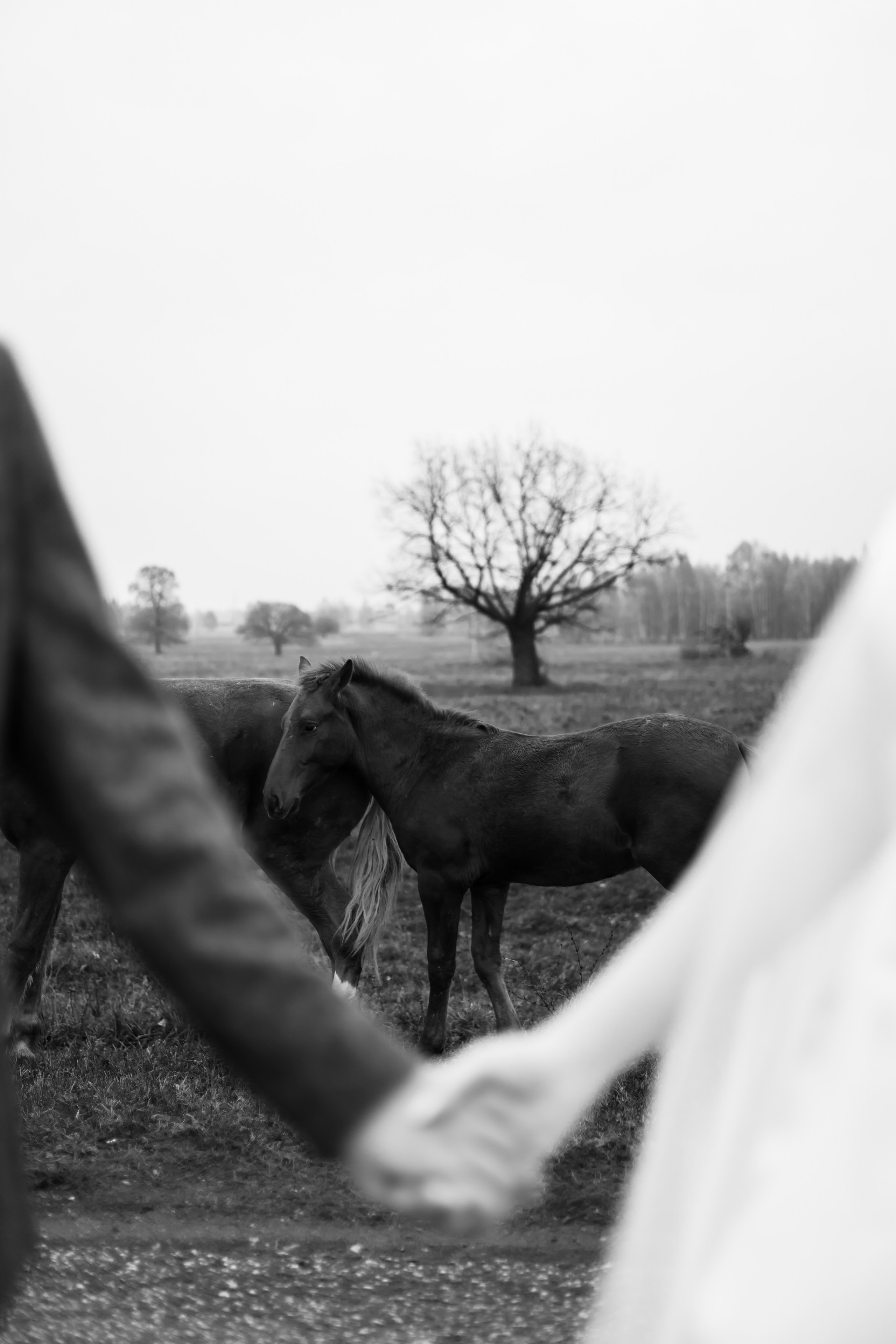 ЭДУАРД+КРИСТИНА. Фотограф Элла Ефимова