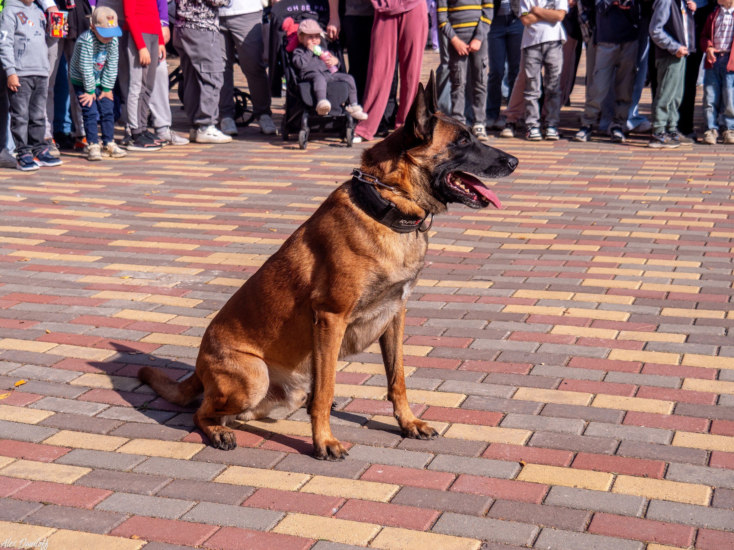 Обнимака 2025. Муром-Инфо. Новости культуры, образования, спорта в городе Муром