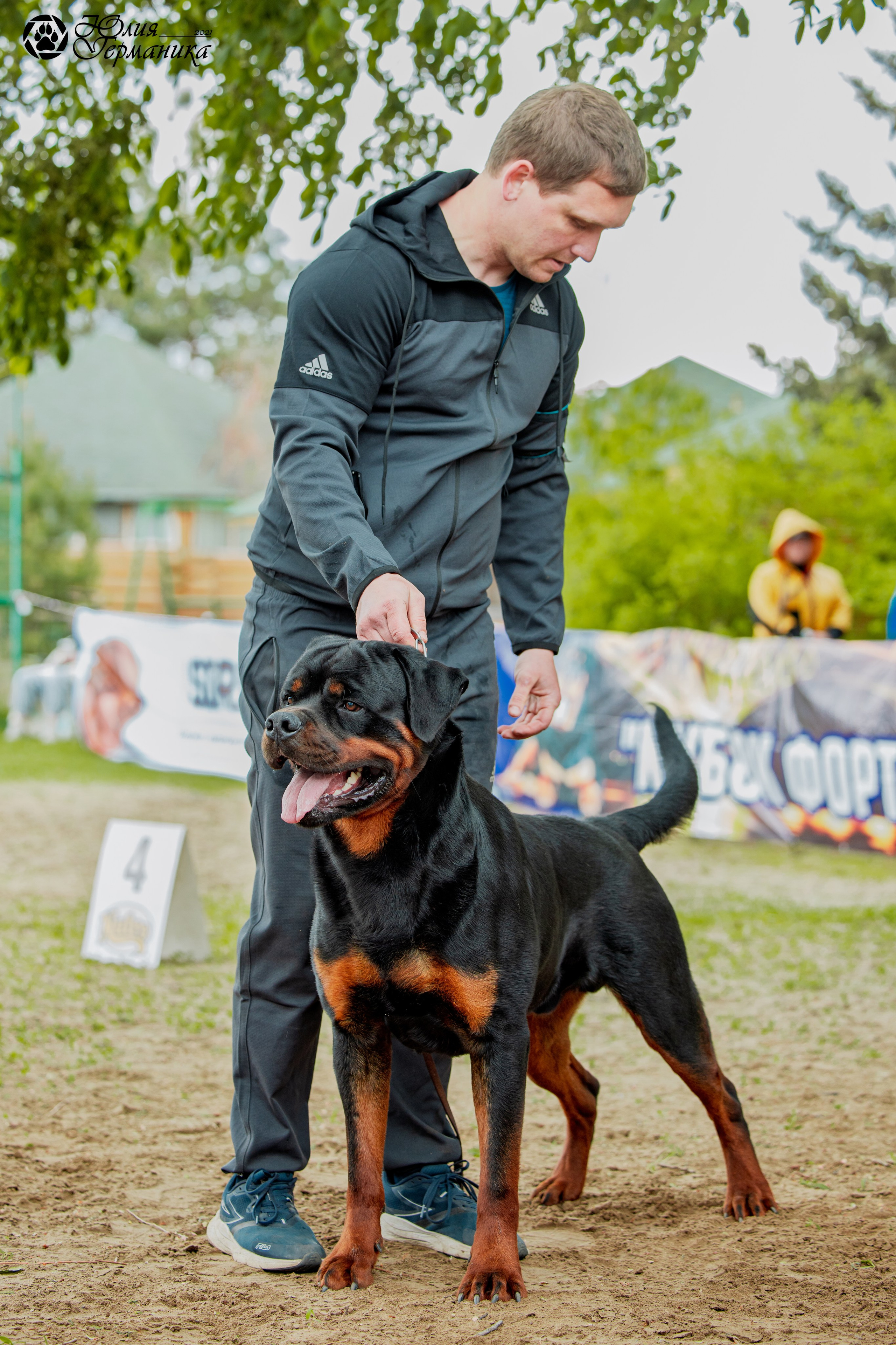 Саратов моно ротвейлеров 26-27.04.2025. Фотограф-анималист Юлия Германика