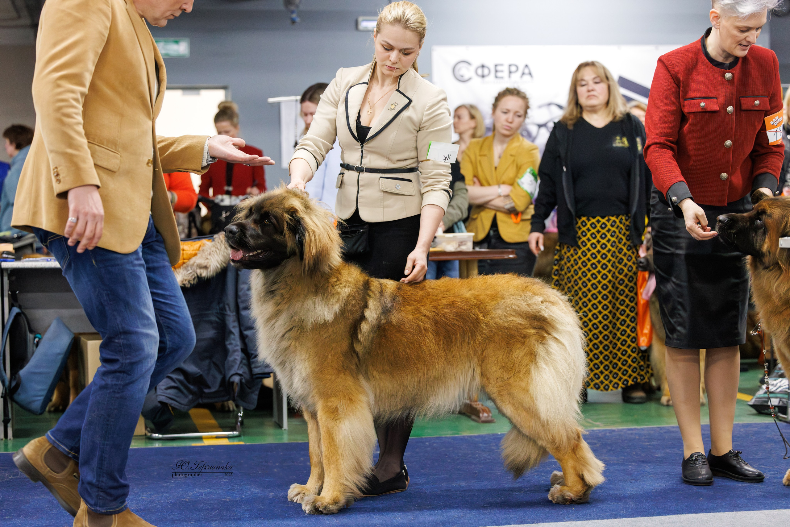 Тверь 12.04,Сфера 13.04,Сергиев Посад 19.04.2025. Фотограф-анималист Юлия Германика