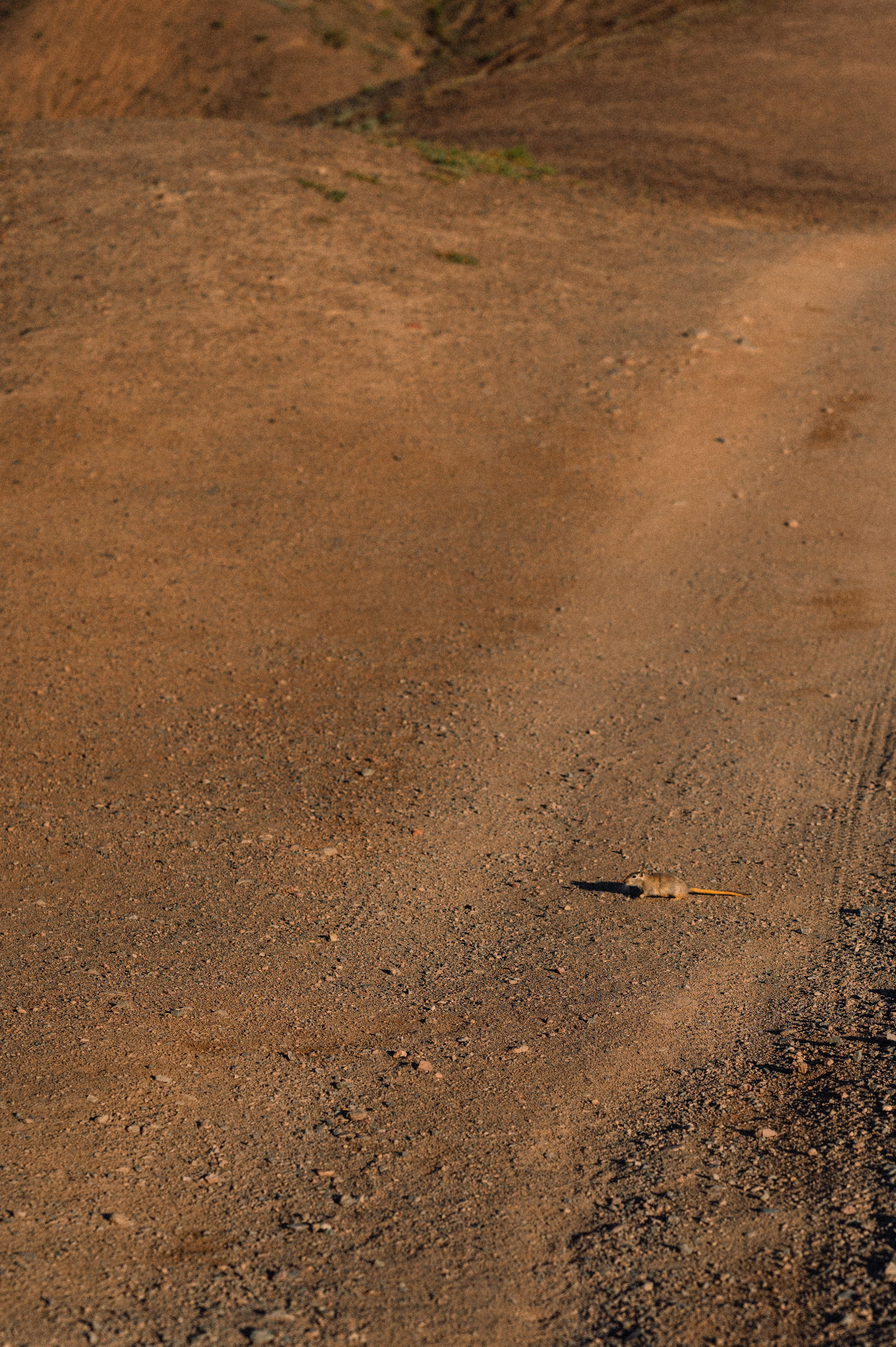 Чарын-Кольсай: лето 2024. Фотограф в Алматы — Дарья Фёдорова