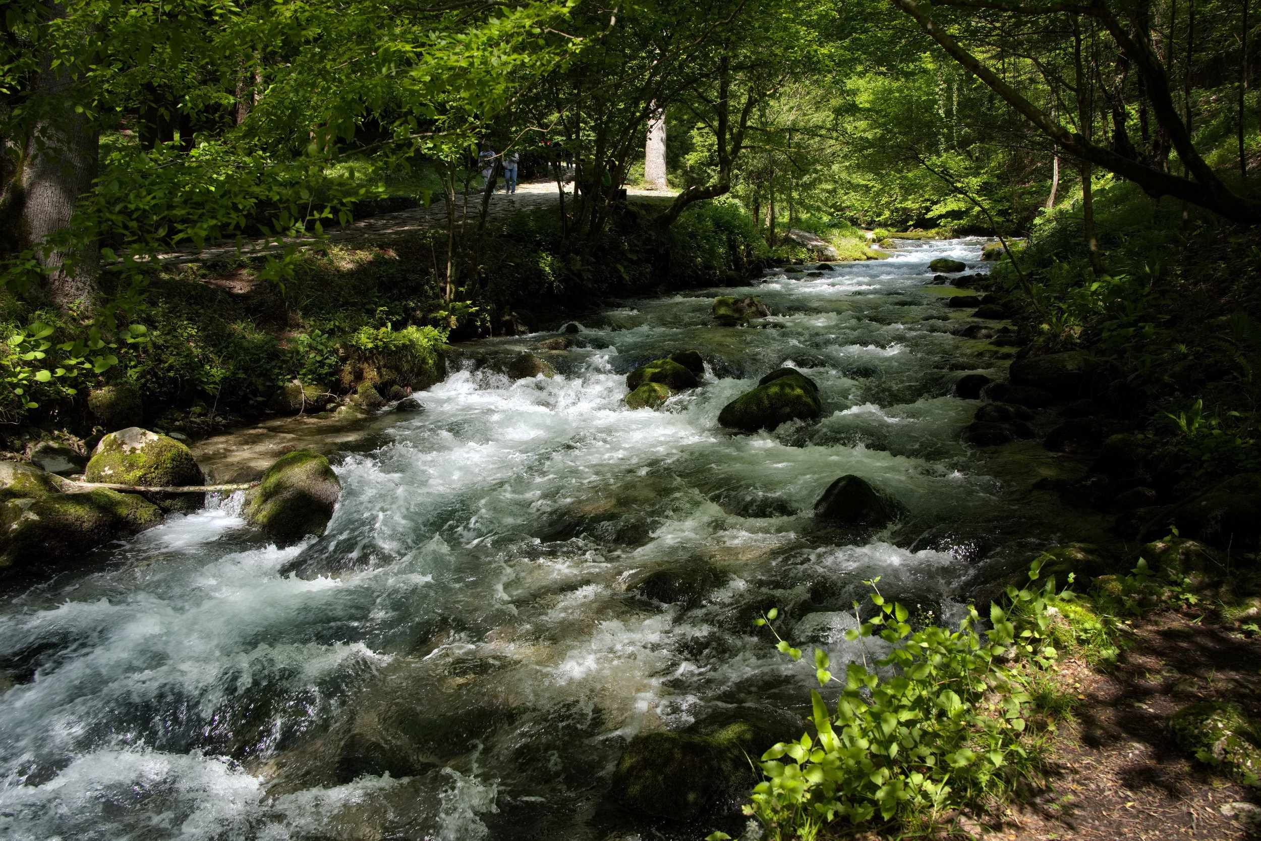 Путешествие по Абхазии в начале мая 2025 г. Вадим Шейдин