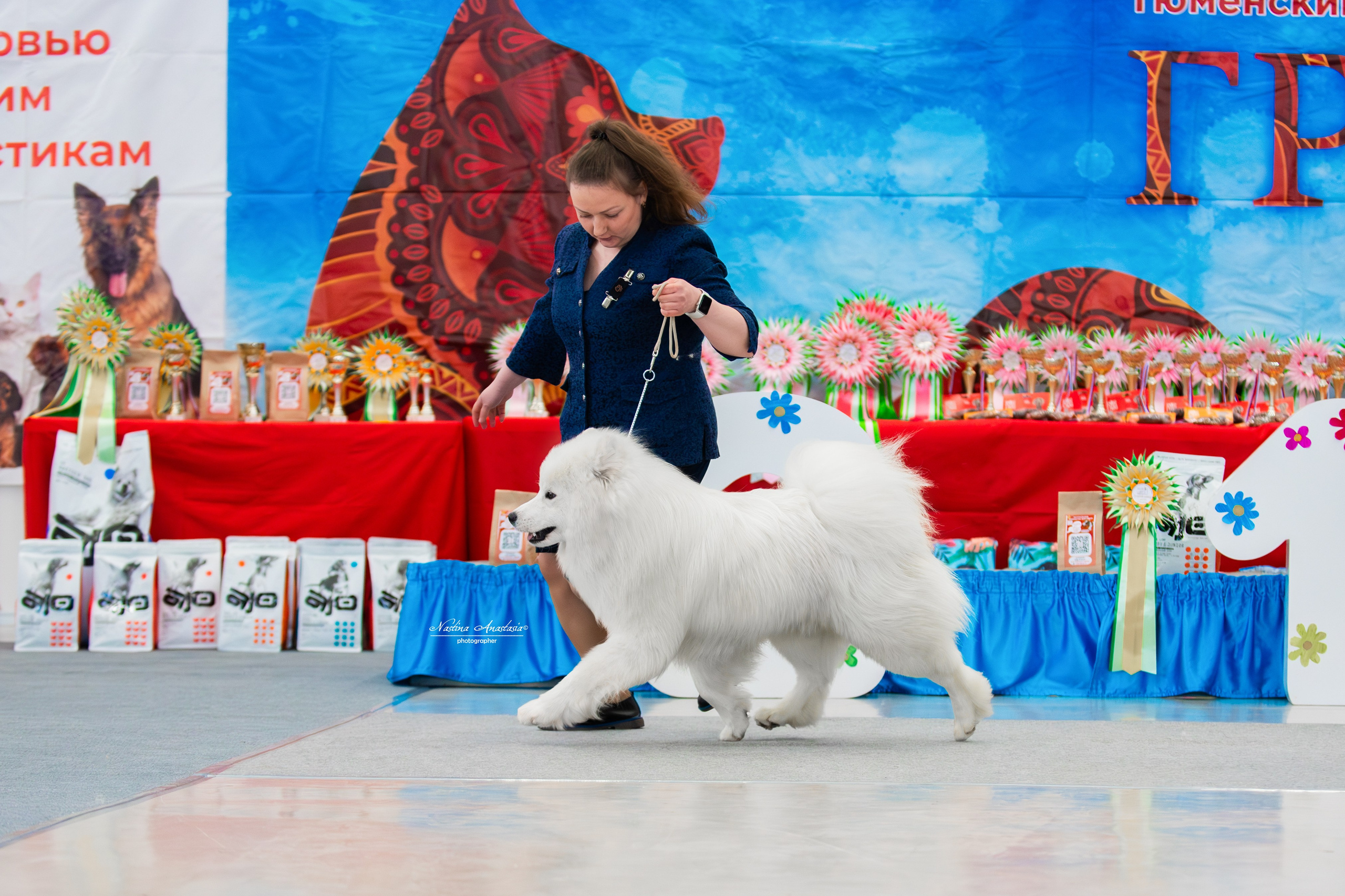Выставки. Фотограф — Анималист
